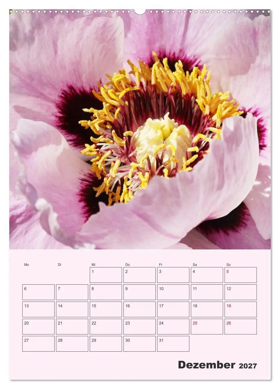 Bild: 9783569692442 | Pfingstrosen Rosen ohne Dornen (hochwertiger Premium Wandkalender...