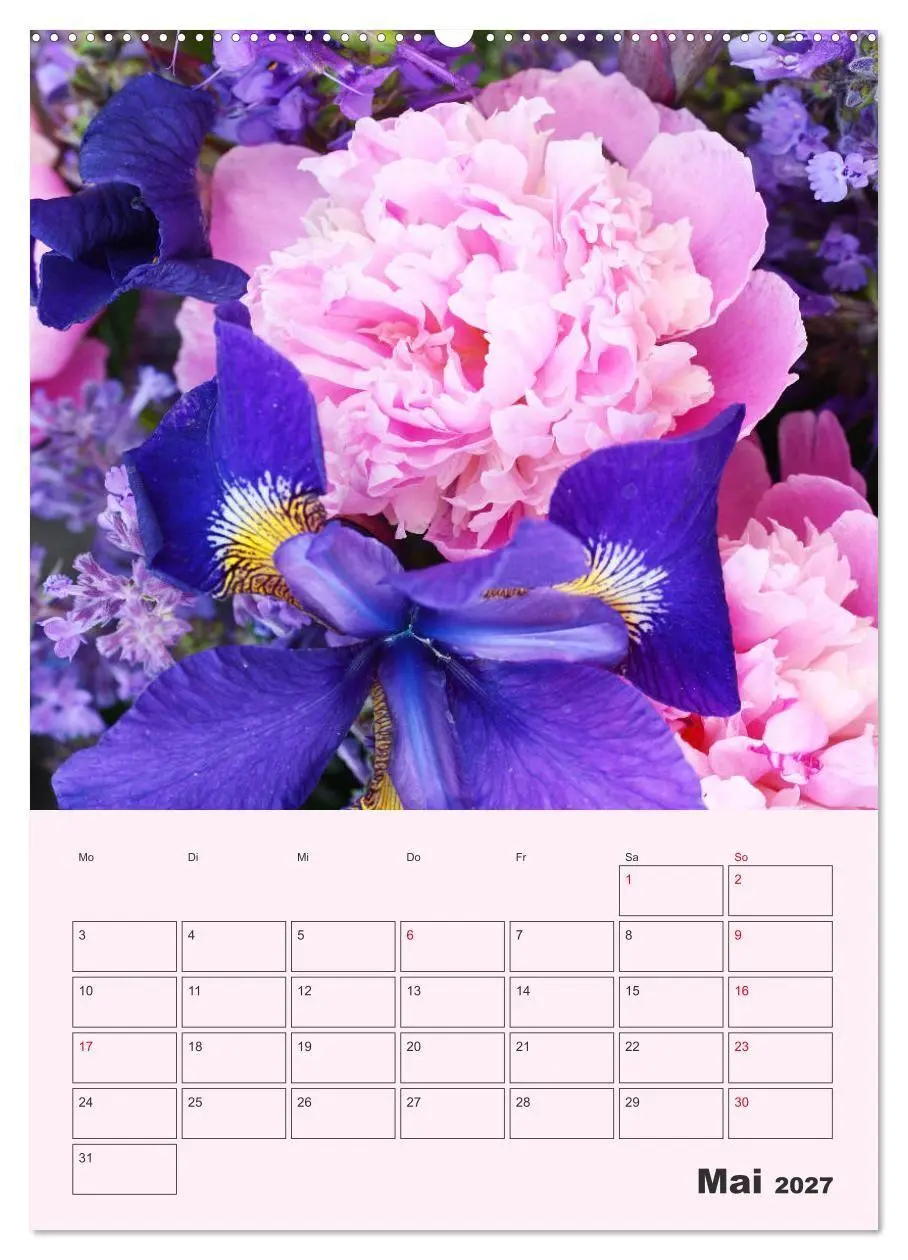 Bild: 9783569692442 | Pfingstrosen Rosen ohne Dornen (hochwertiger Premium Wandkalender...