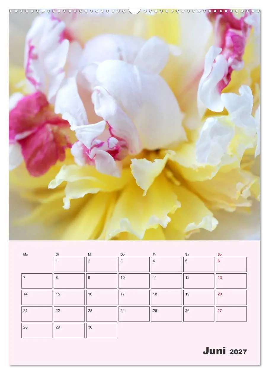 Bild: 9783569692442 | Pfingstrosen Rosen ohne Dornen (hochwertiger Premium Wandkalender...