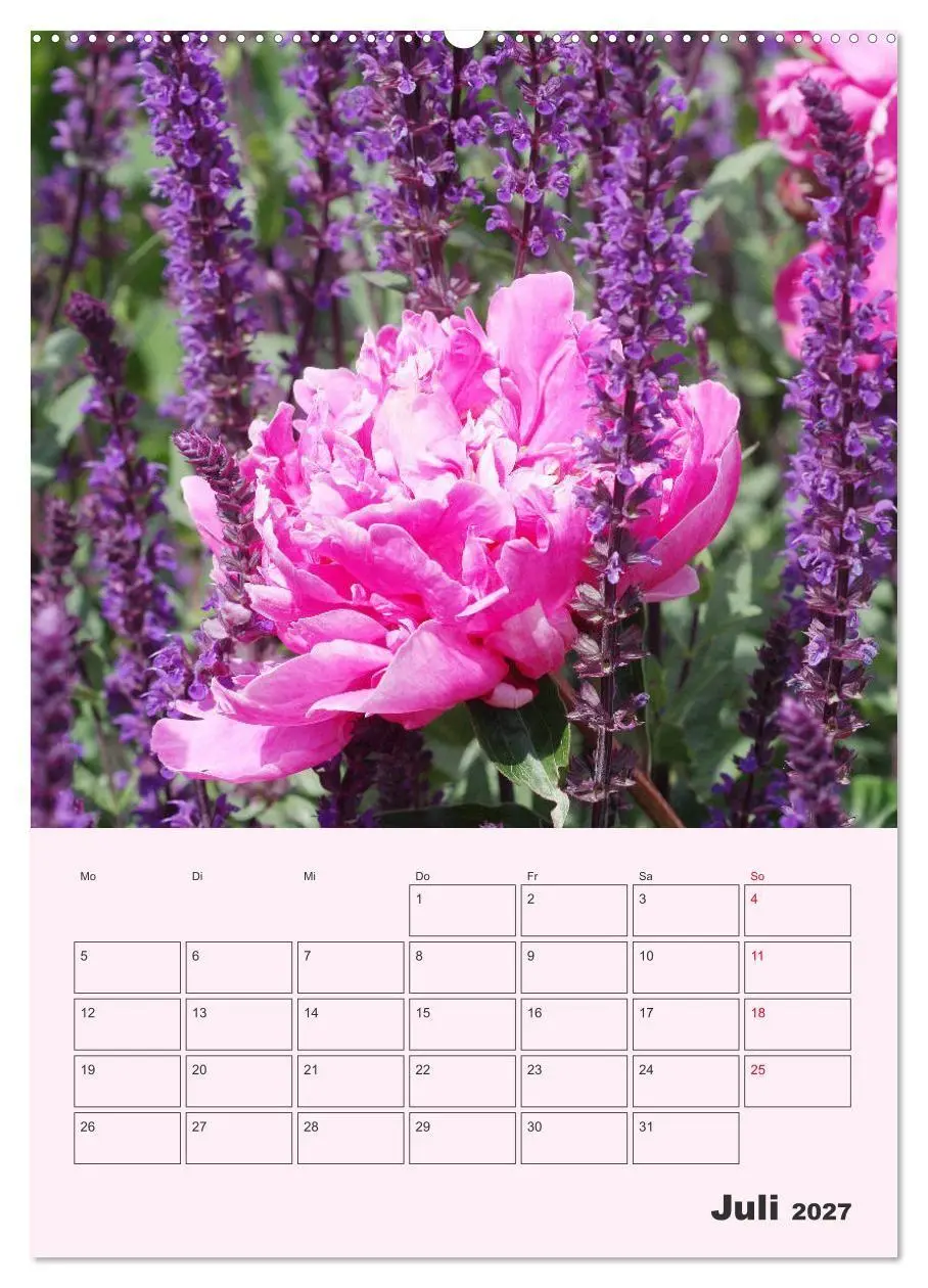 Bild: 9783569692442 | Pfingstrosen Rosen ohne Dornen (hochwertiger Premium Wandkalender...