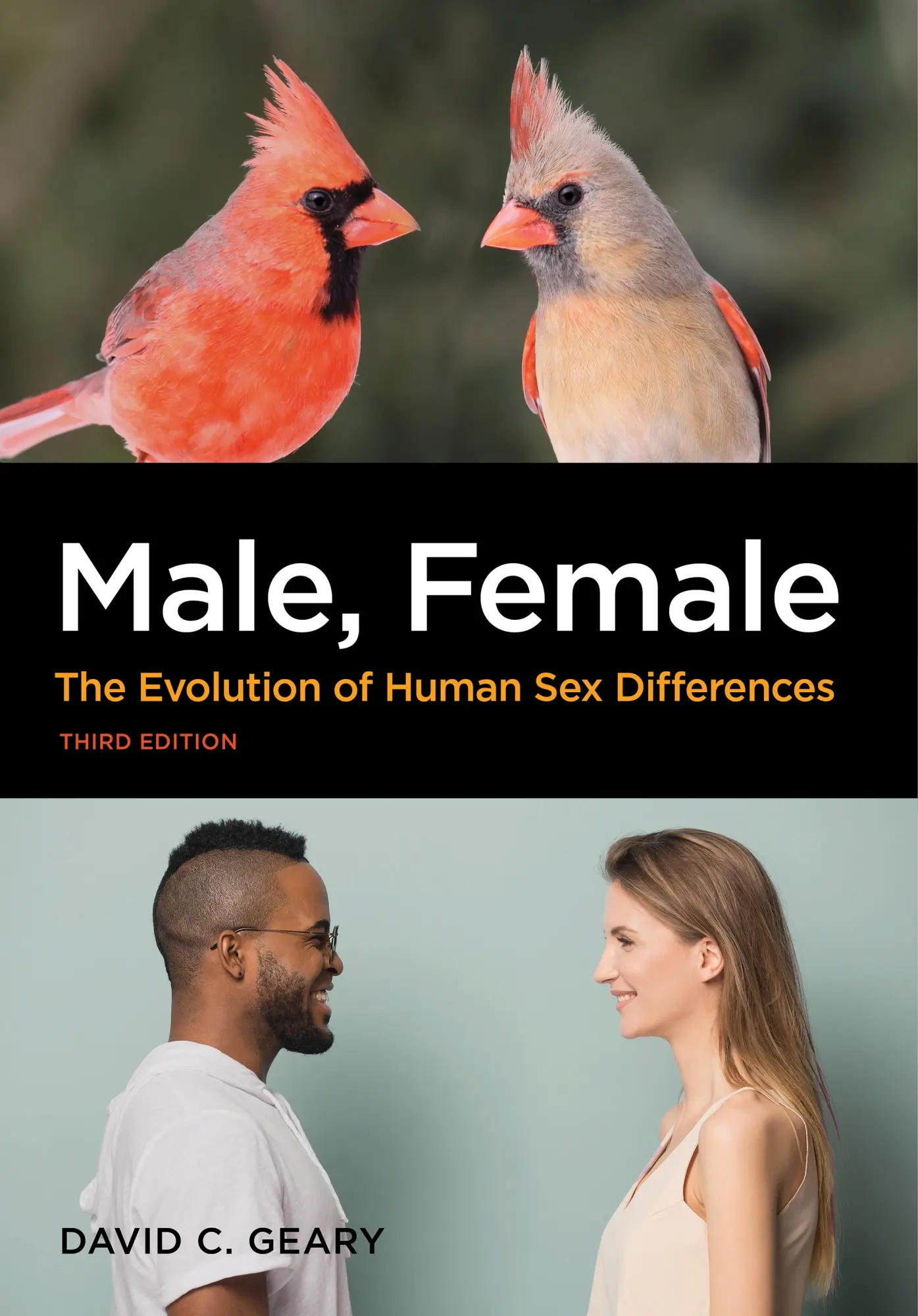 Cover: 9781433832642 | Male, Female: The Evolution of Human Sex Differences | David C. Geary