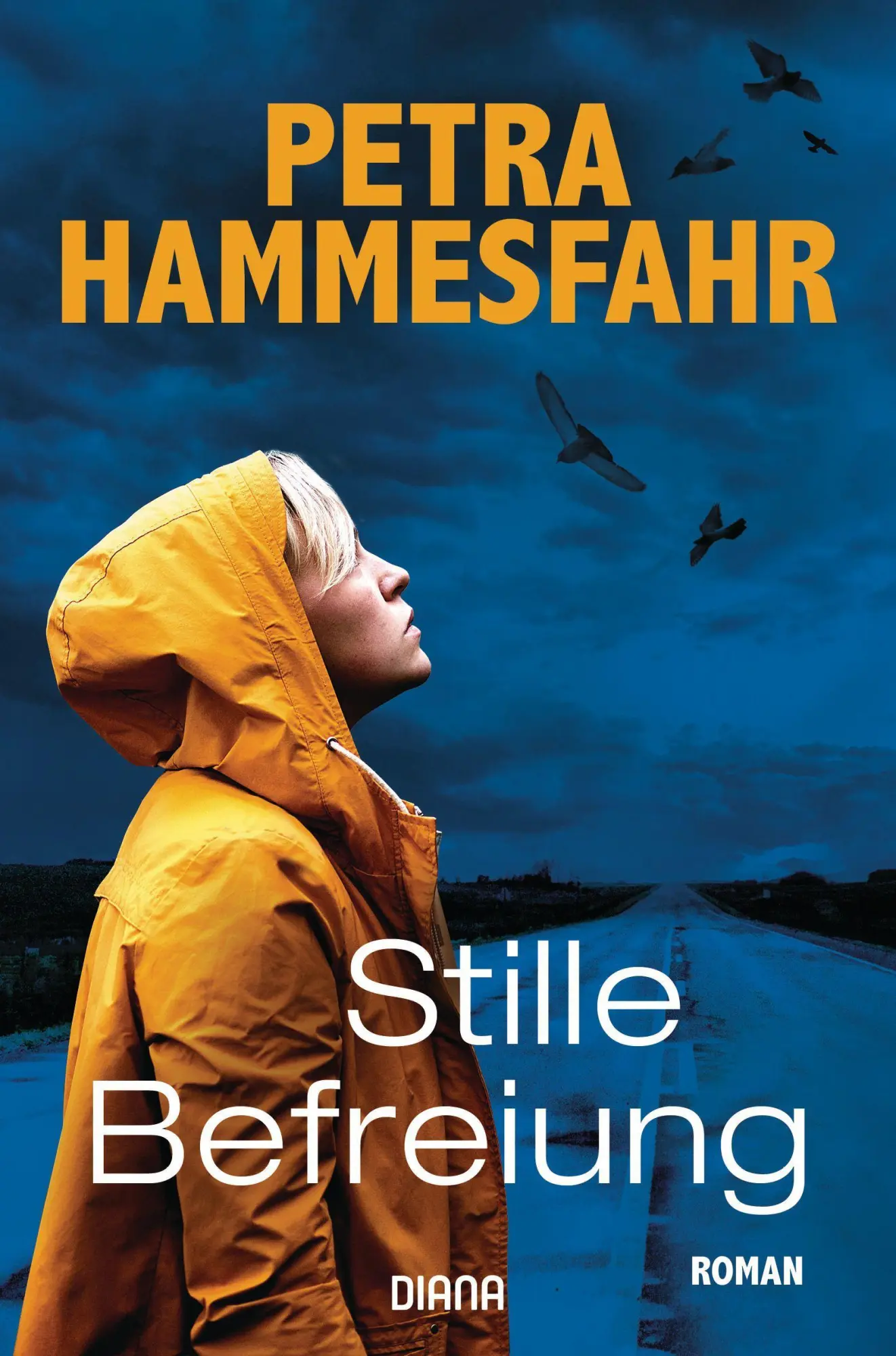 Cover: 9783453292642 | Stille Befreiung | Roman | Petra Hammesfahr | Taschenbuch | 432 S.