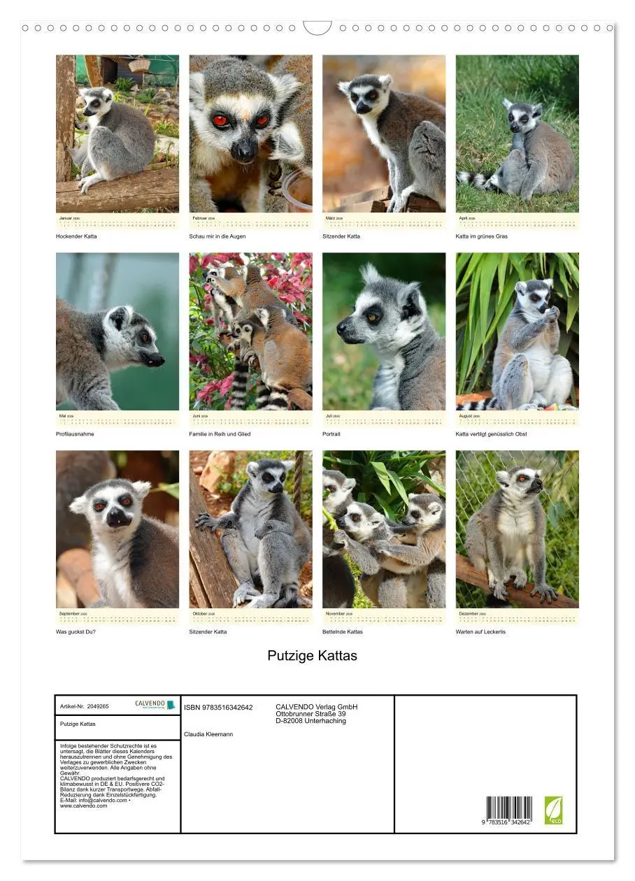 Bild: 9783516342642 | Putzige Kattas (Wandkalender 2026 DIN A2 hoch), CALVENDO...