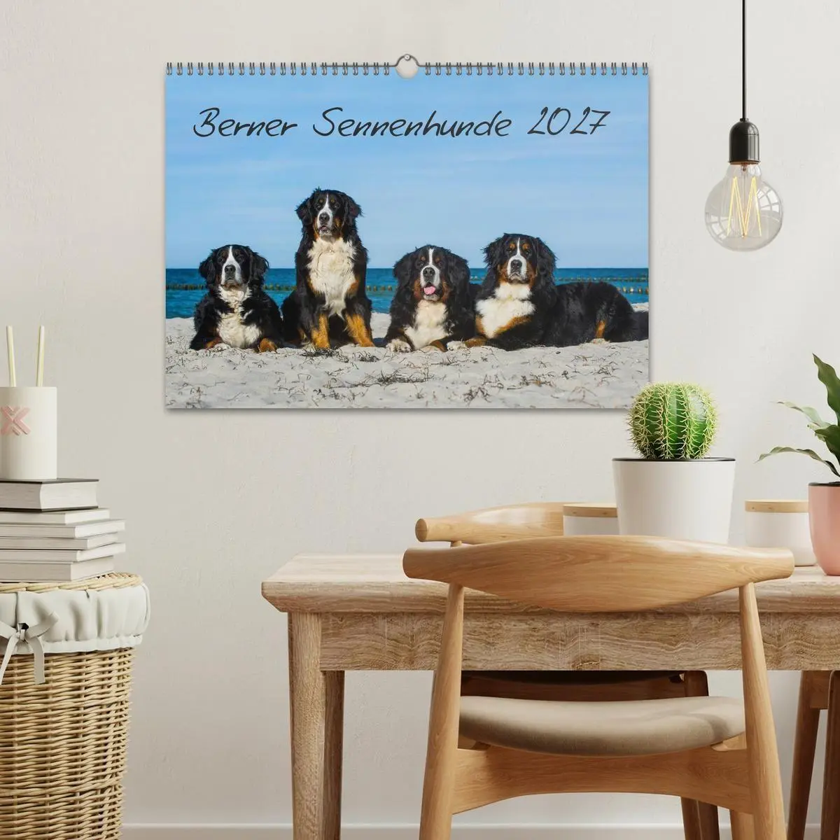 Bild: 9783594182642 | Berner Sennenhund 2027 (Wandkalender 2027 DIN A3 quer), CALVENDO...