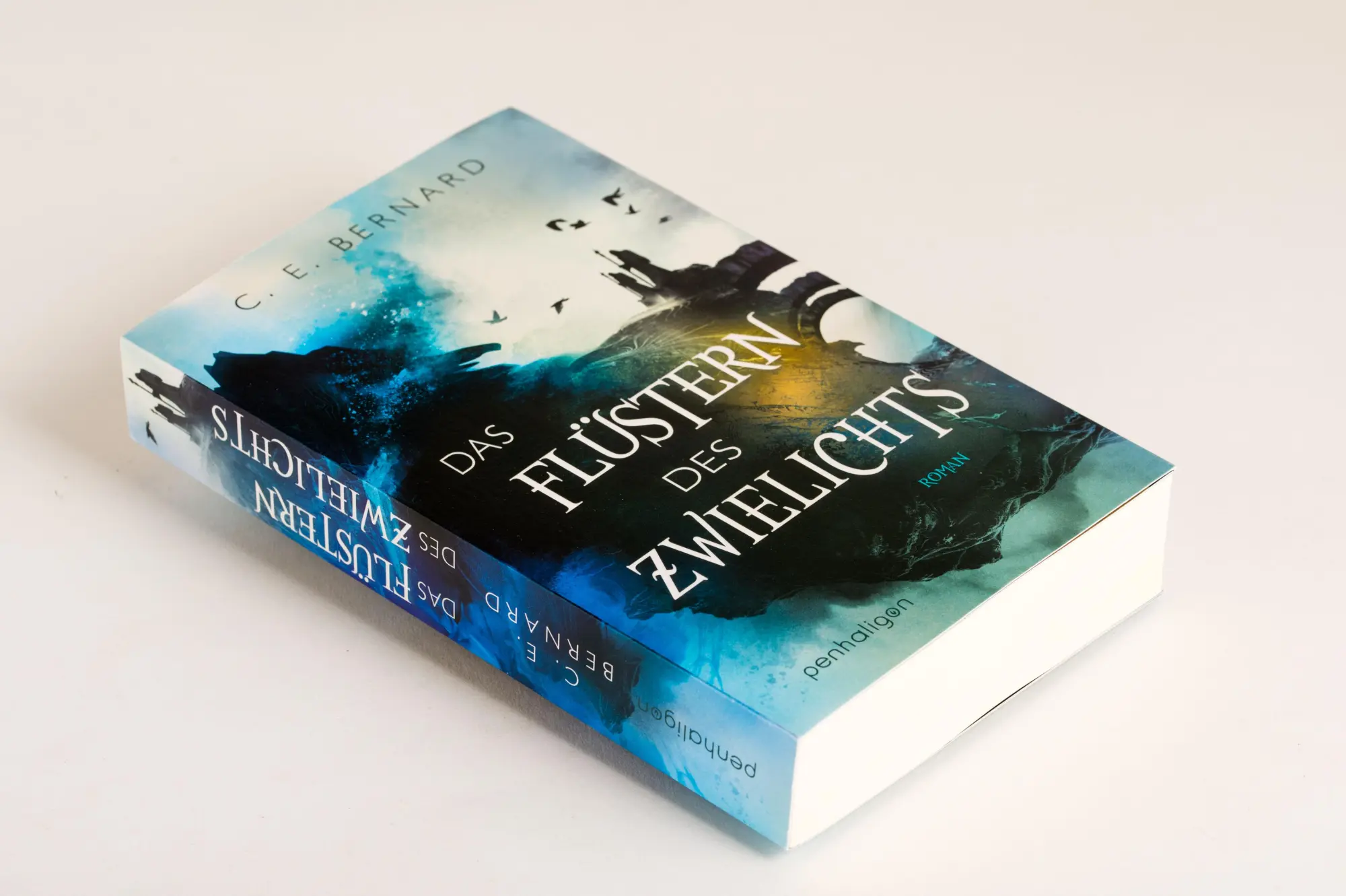 Bild: 9783764532642 | Das Flüstern des Zwielichts | Roman | C. E. Bernard | Taschenbuch