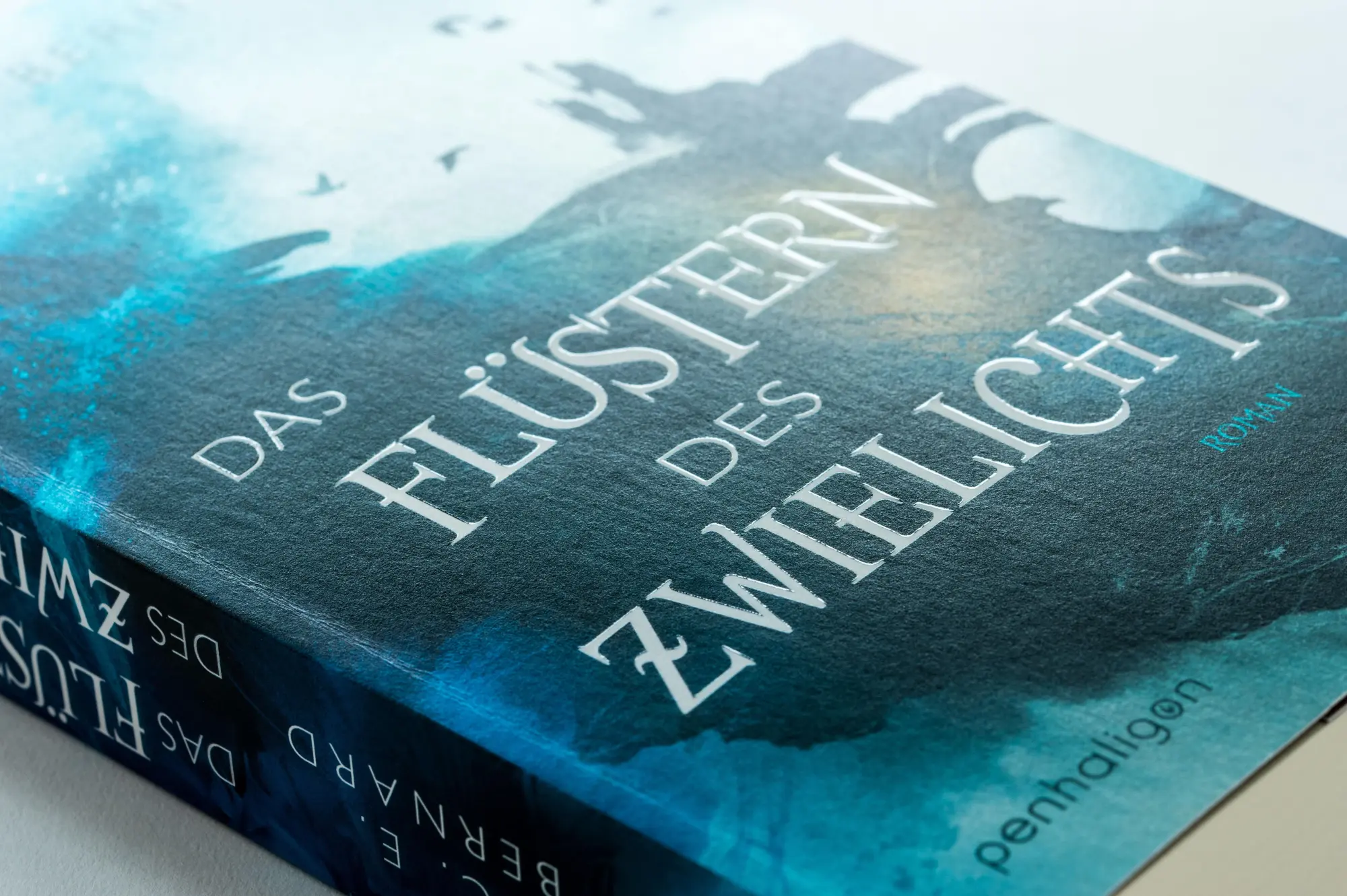 Bild: 9783764532642 | Das Flüstern des Zwielichts | Roman | C. E. Bernard | Taschenbuch