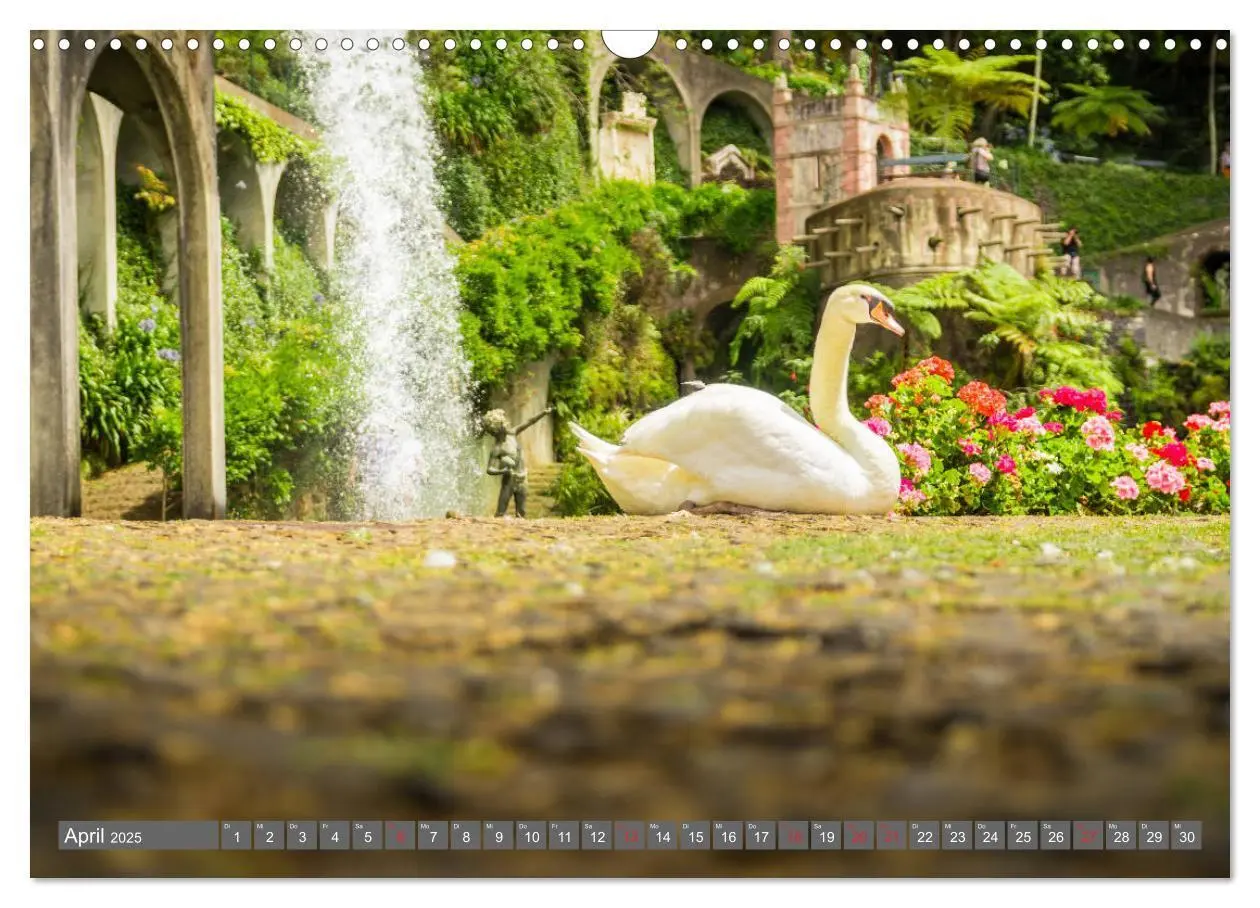 Bild: 9783435222742 | Madeira - Insel der Blumen 2025 (Wandkalender 2025 DIN A3 quer),...