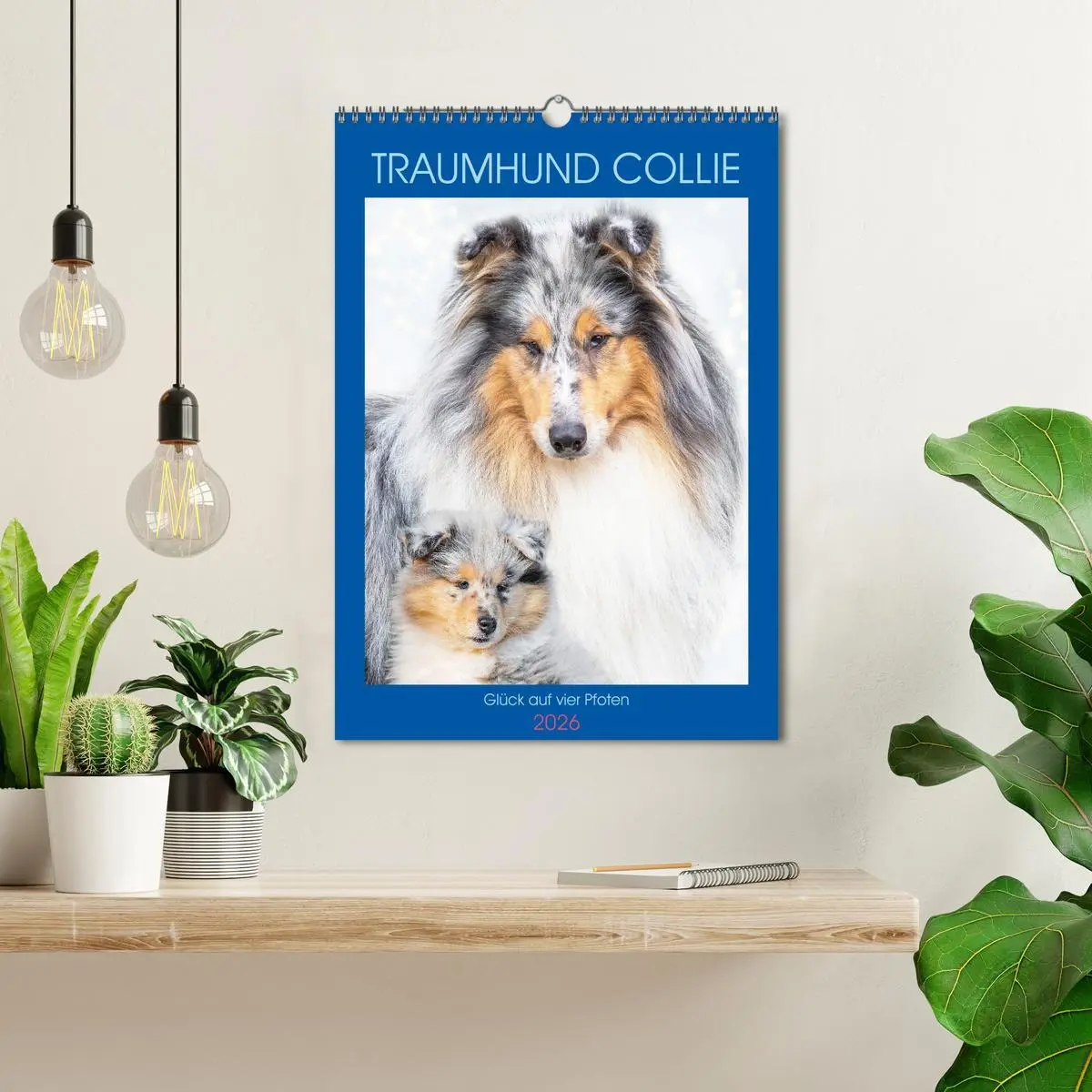 Bild: 9783516332742 | Traumhund Collie - Glück auf vier Pfoten (Wandkalender 2026 DIN A3...
