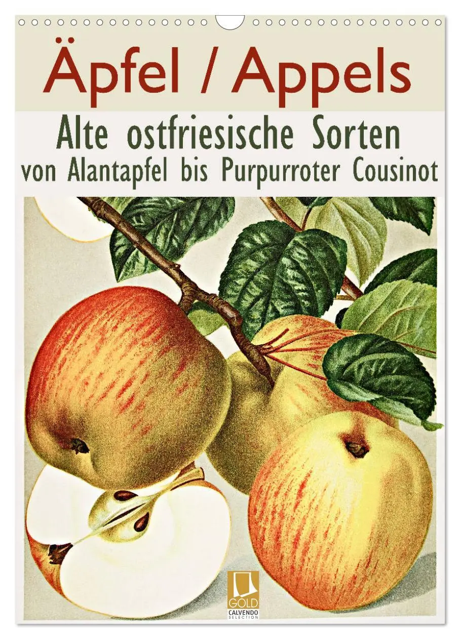 Cover: 9783516402742 | Äpfel/Appels. Alte ostfriesische Sorten (Wandkalender 2026 DIN A3...