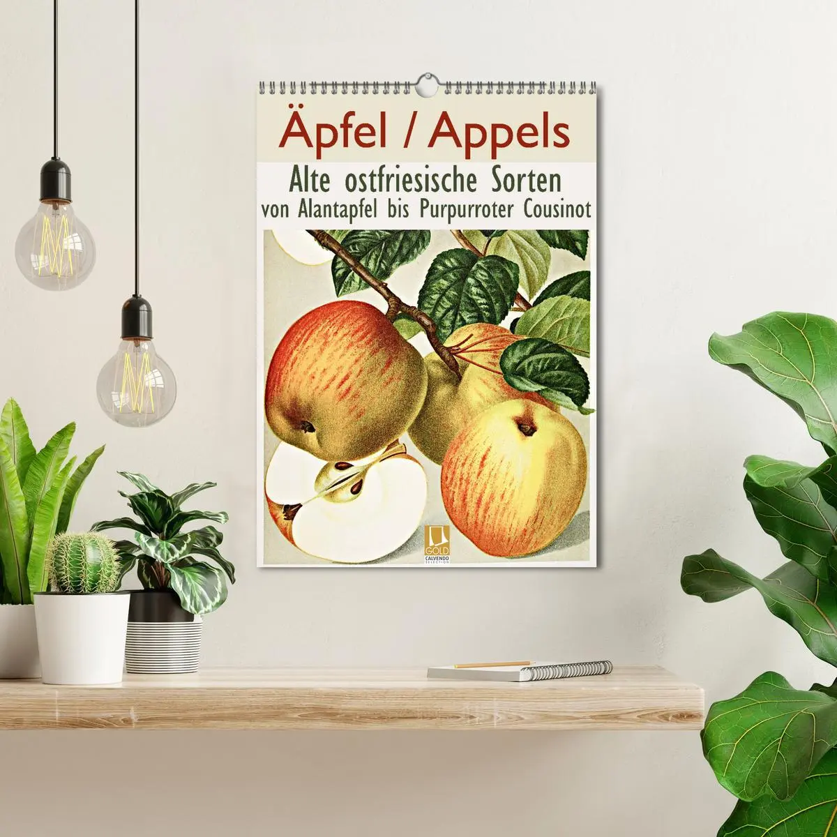 Bild: 9783516402742 | Äpfel/Appels. Alte ostfriesische Sorten (Wandkalender 2026 DIN A3...