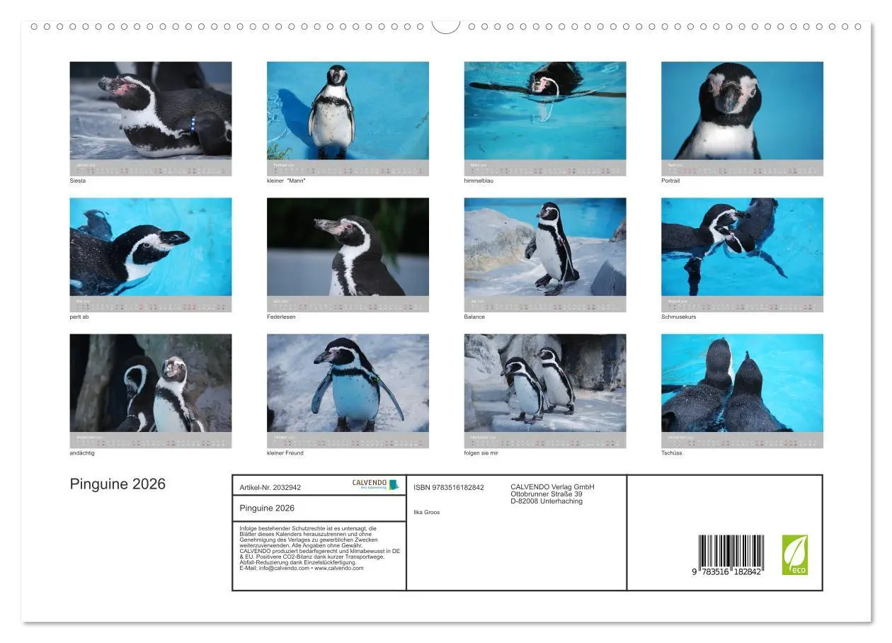 Bild: 9783516182842 | Pinguine 2026 (hochwertiger Premium Wandkalender 2026 DIN A2 quer),...