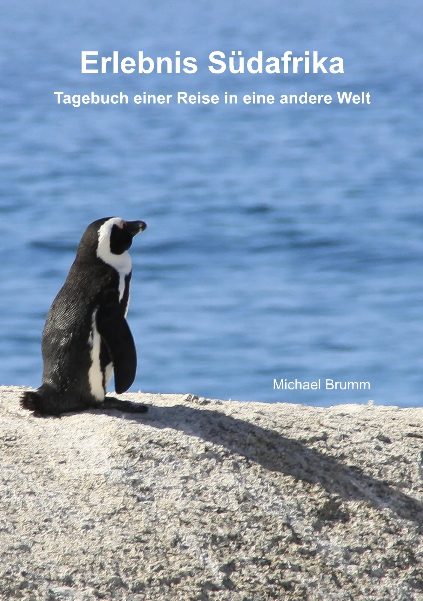 Cover: 9783744882842 | Erlebnis Südafrika | Tagebuch einer Reise in eine andere Welt | Brumm