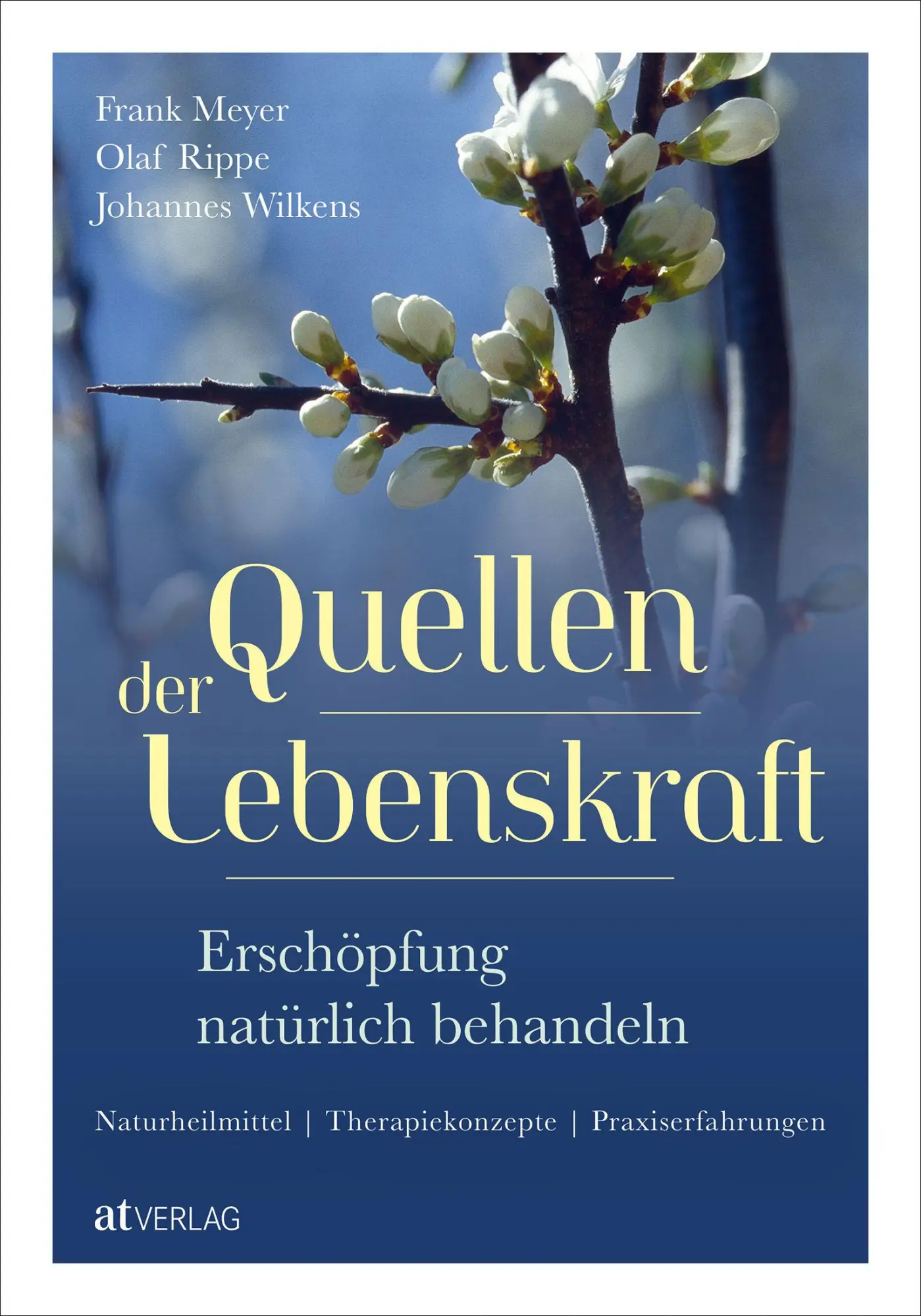 Cover: 9783039023042 | Quellen der Lebenskraft - Erschöpfung natürlich behandeln | Buch