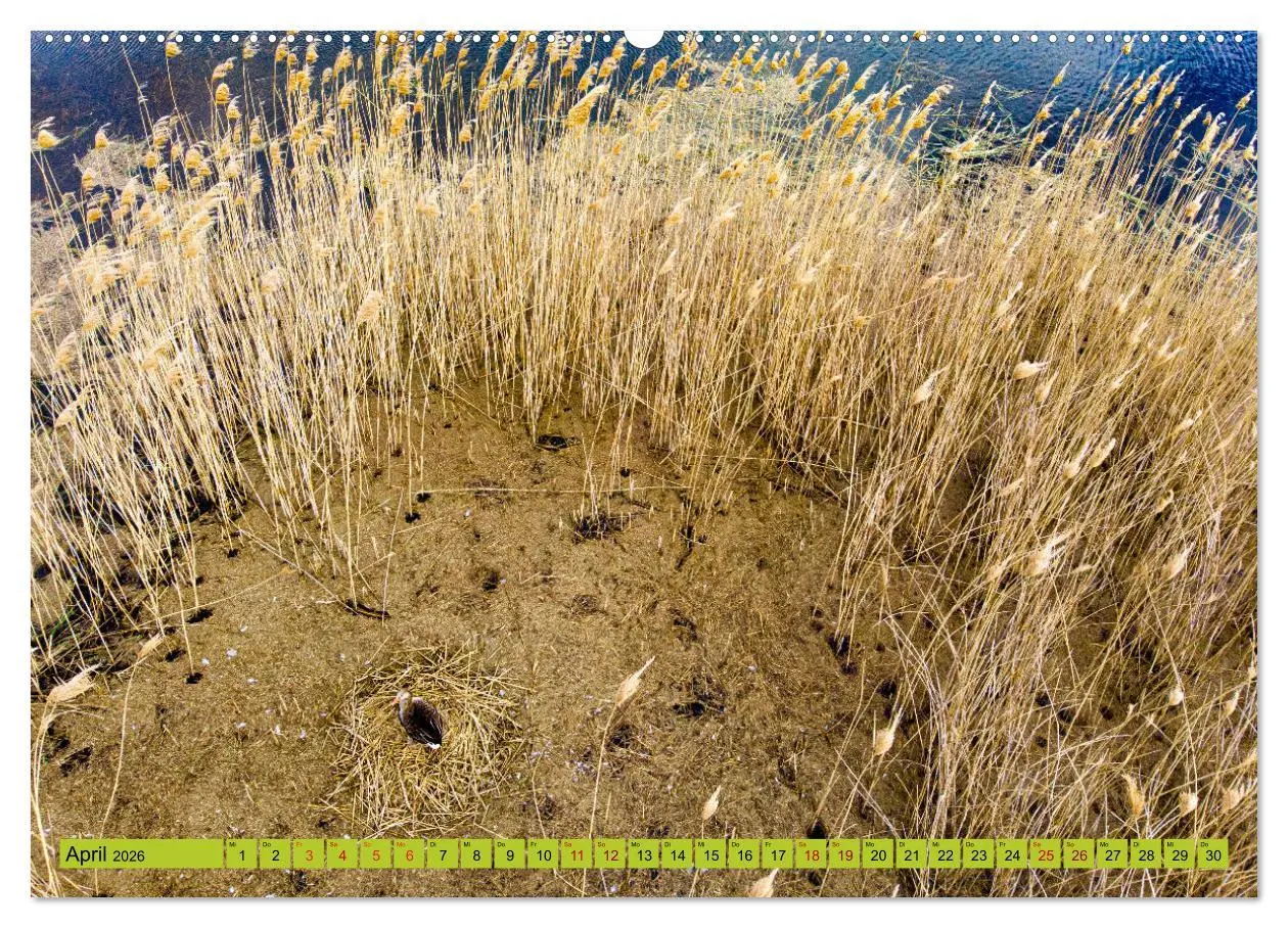 Bild: 9783457733042 | Schorfheide von oben (hochwertiger Premium Wandkalender 2026 DIN A2...