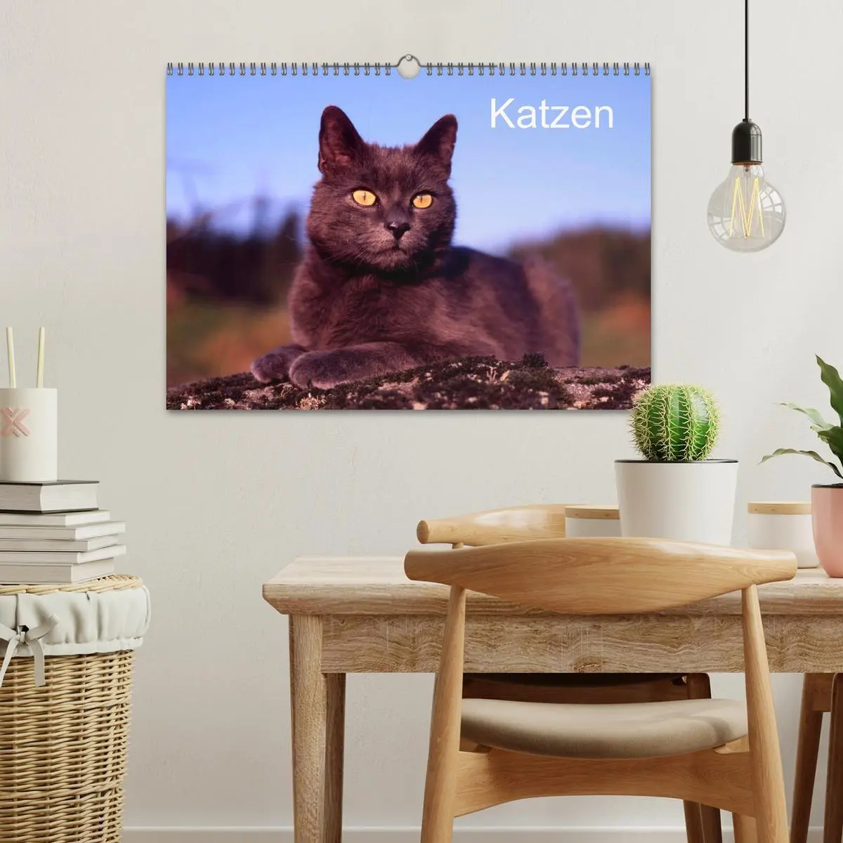 Bild: 9783516203042 | Katzen (Wandkalender 2026 DIN A3 quer), CALVENDO Monatskalender | 2026