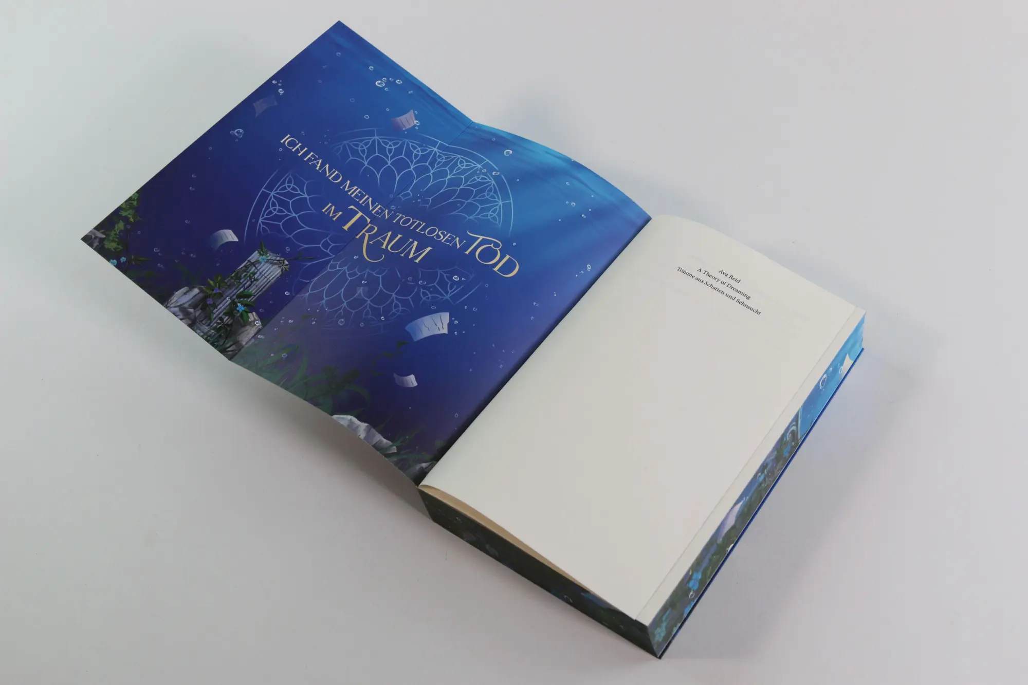 Bild: 9783743223042 | A Theory of Dreaming (A Study in Drowning, Band 2) | Ava Reid | Buch