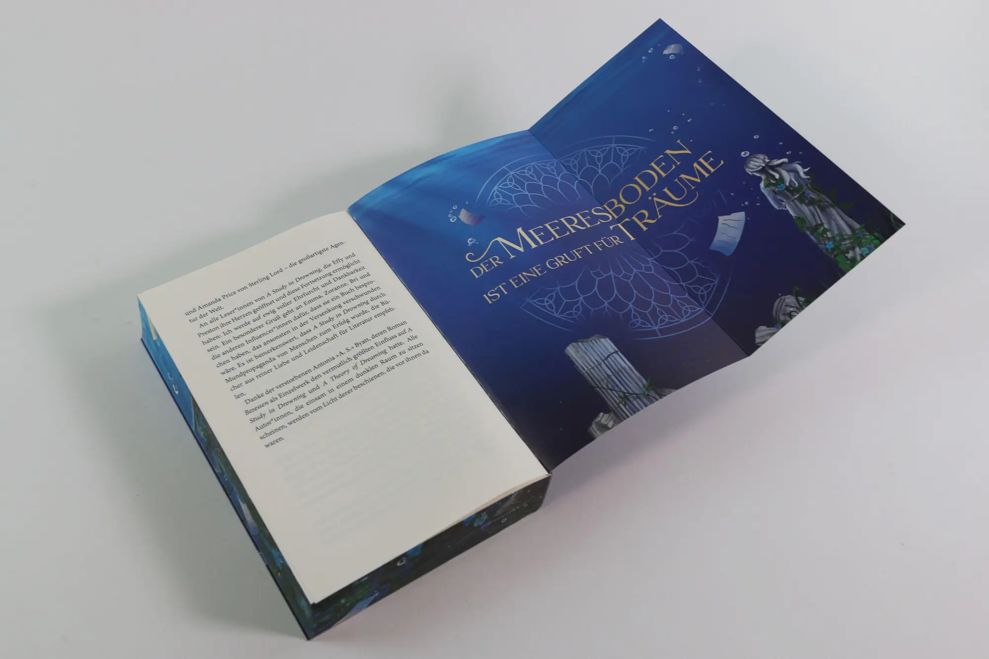 Bild: 9783743223042 | A Theory of Dreaming (A Study in Drowning, Band 2) | Ava Reid | Buch