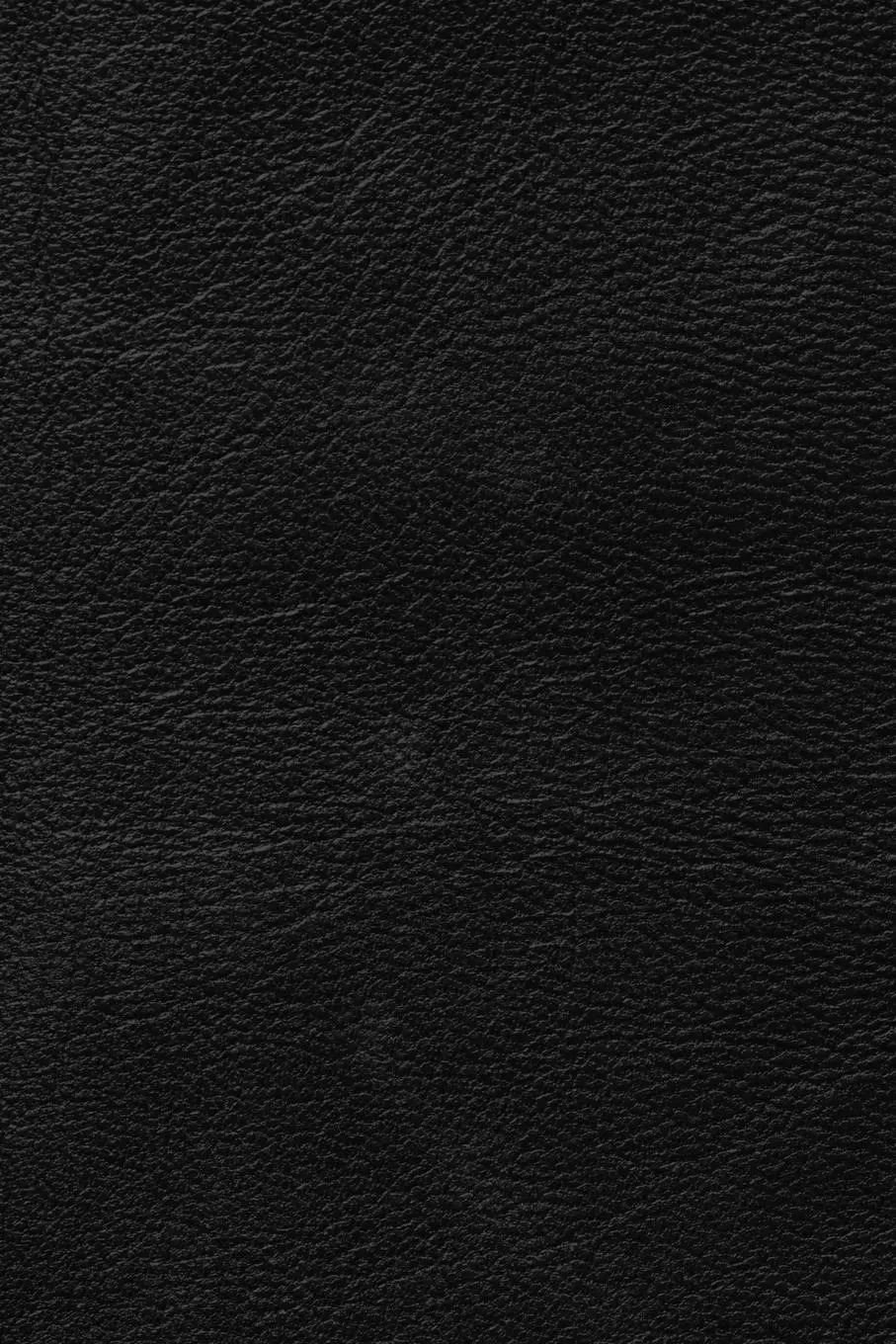 Rückseite: 9798985203042 | The Golden Scripts Part II of II | William Dudley Pelley (u. a.)