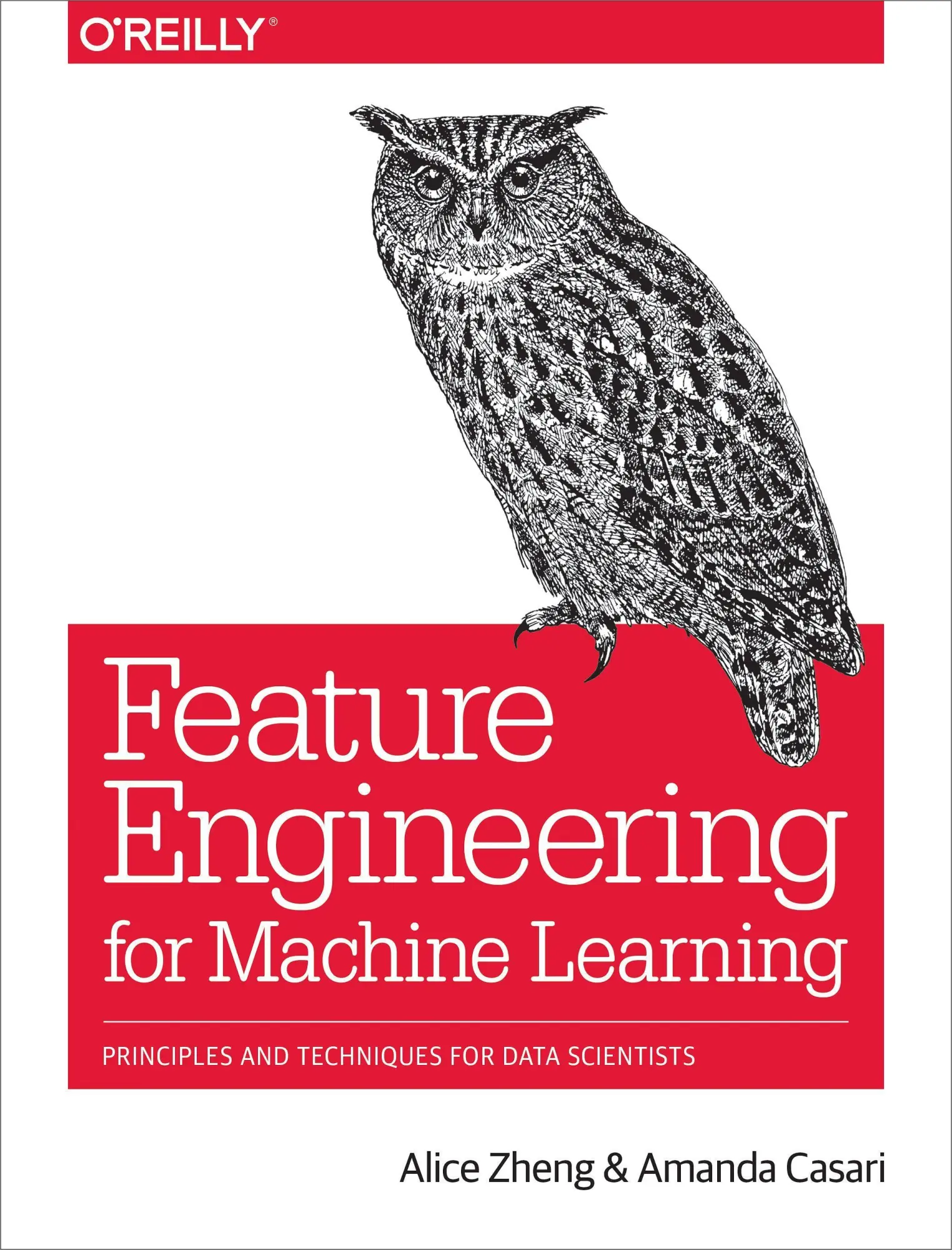 Cover: 9781491953242 | Feature Engineering for Machine Learning | Alice Zheng (u. a.) | Buch