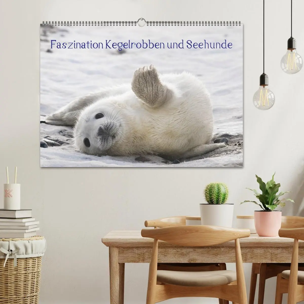 Bild: 9783594023242 | Faszination Kegelrobben und Seehunde 2027 (Wandkalender 2027 DIN A2...