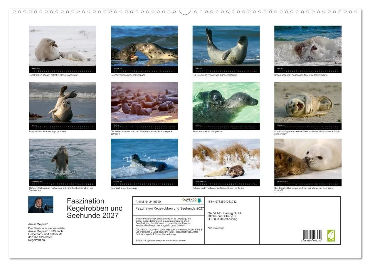 Bild: 9783594023242 | Faszination Kegelrobben und Seehunde 2027 (Wandkalender 2027 DIN A2...