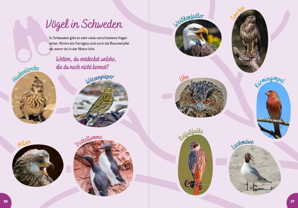 Bild: 9783946323242 | Schweden for kids | Der Kinderreiseführer | Groeling | Taschenbuch