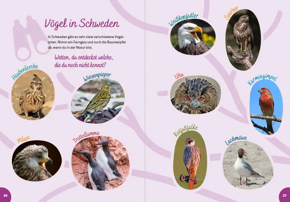 Bild: 9783946323242 | Schweden for kids | Der Kinderreiseführer | Groeling | Taschenbuch
