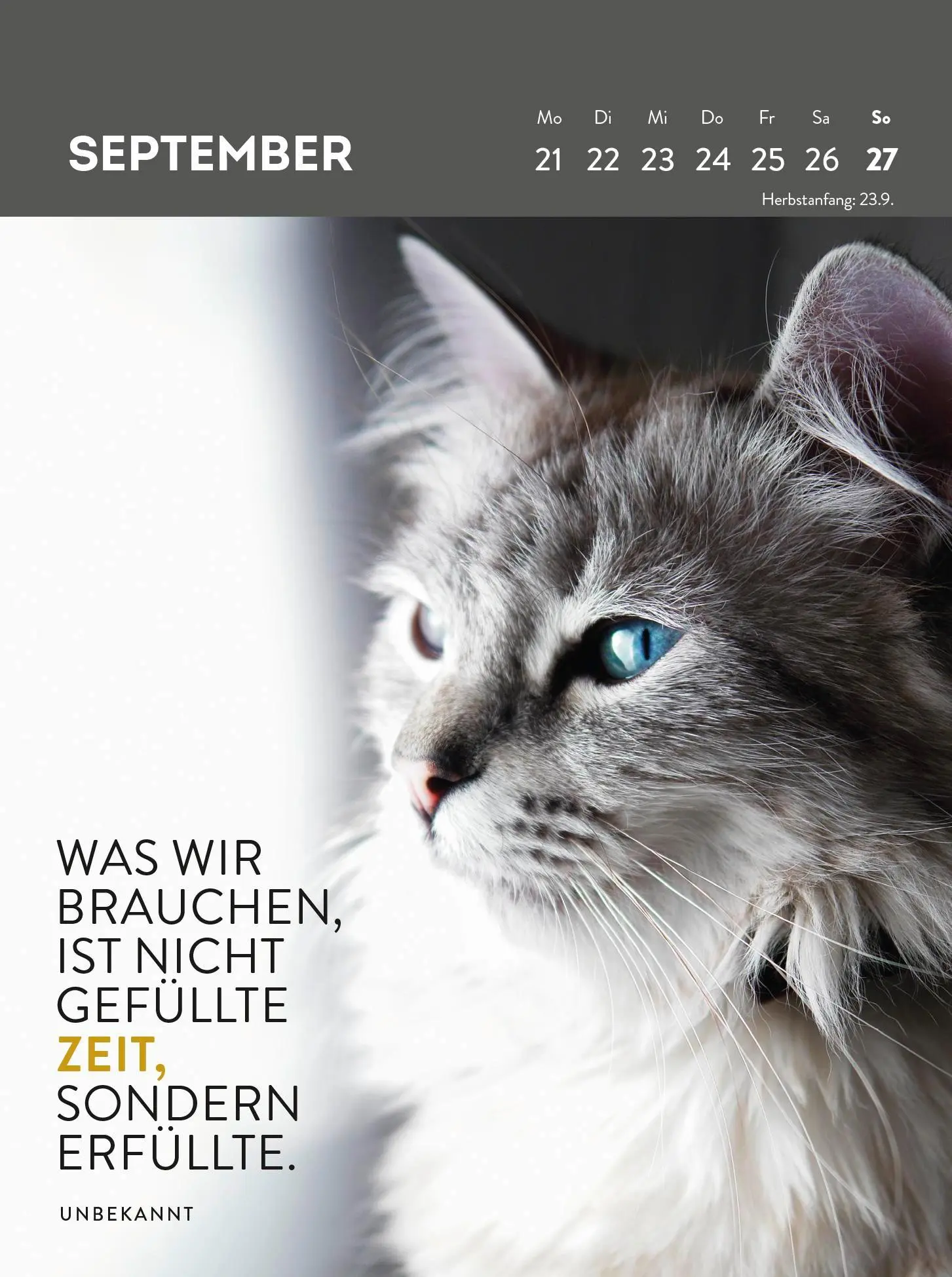 Bild: 4036442013342 | Wochenkalender 2026: Goldene Katzenweisheiten für jeden Tag | Verlag