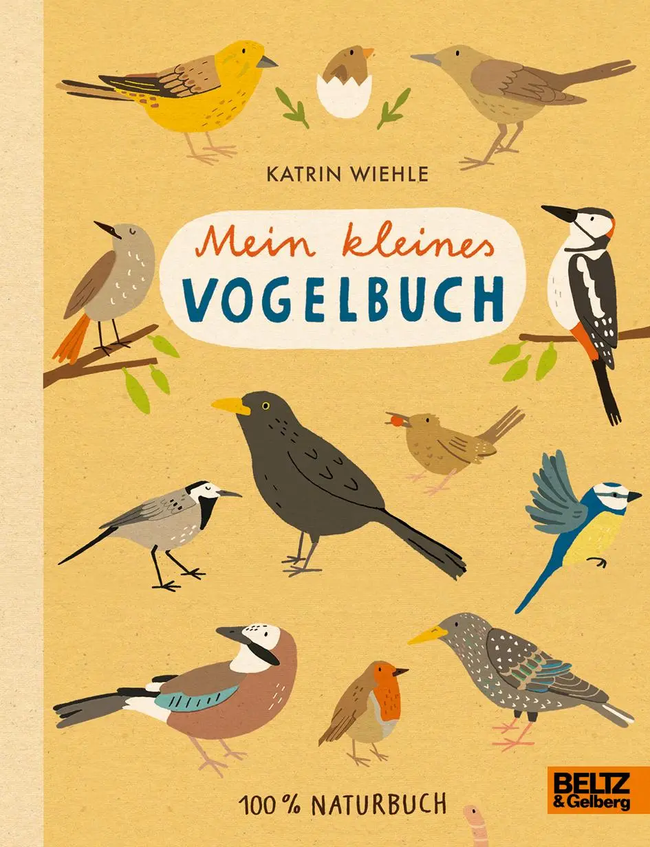 Cover: 9783407823342 | Mein kleines Vogelbuch | Katrin Wiehle | Buch | 16 S. | Deutsch | 2018