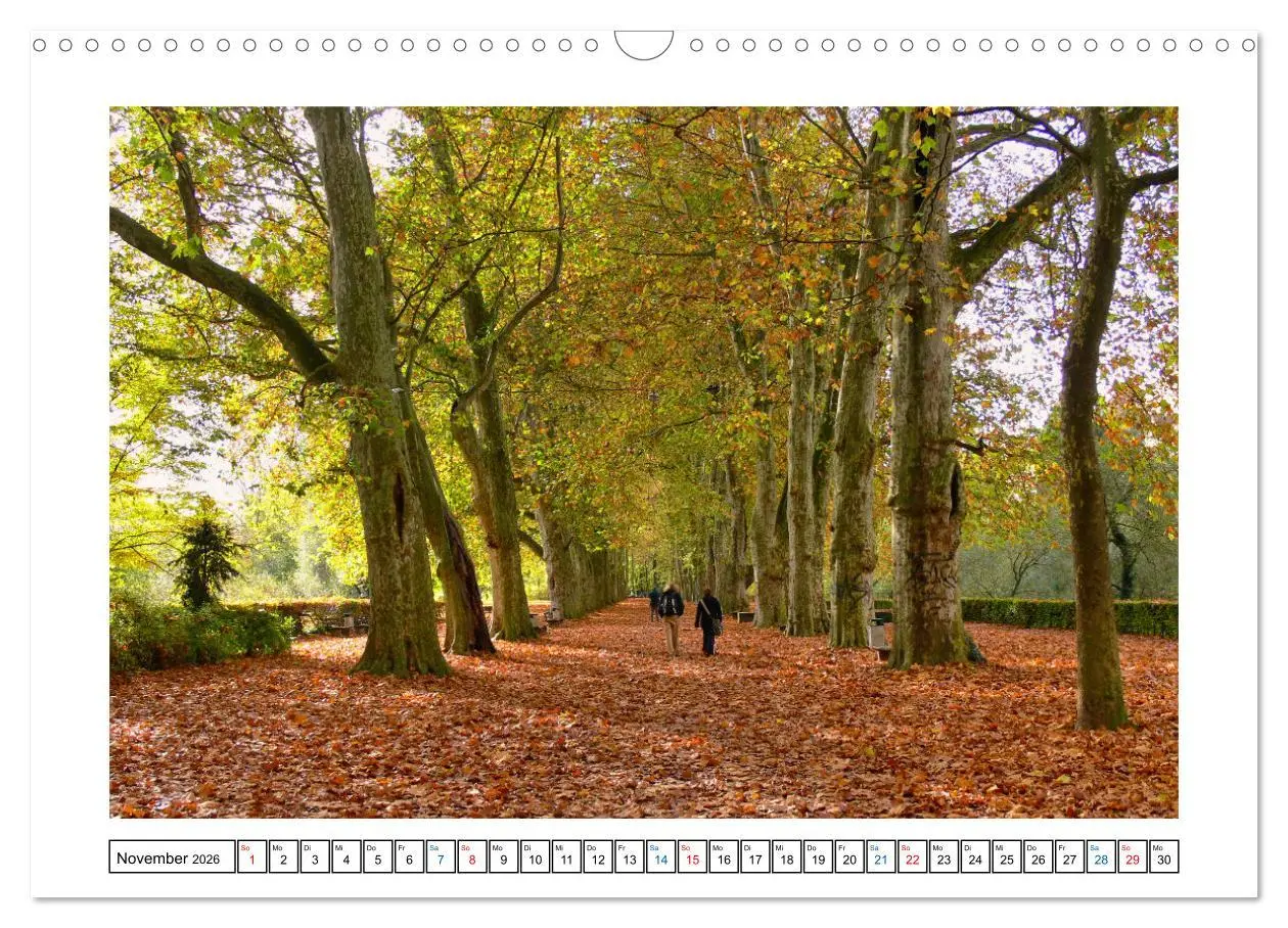 Bild: 9783457563342 | Tübingen im Fokus (Wandkalender 2026 DIN A3 quer), CALVENDO...