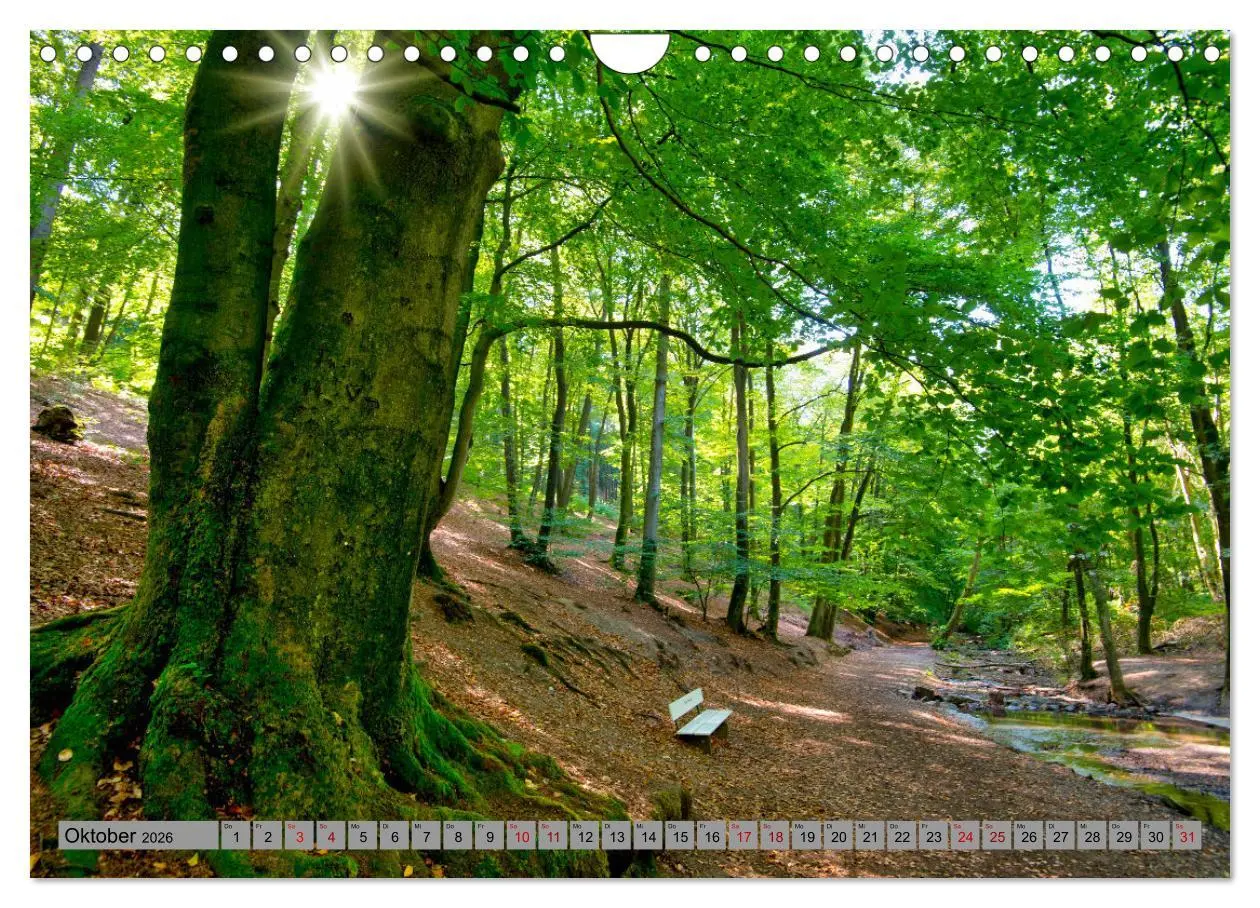 Bild: 9783457313442 | Streifzug durch Ostwestfalen (Wandkalender 2026 DIN A4 quer),...