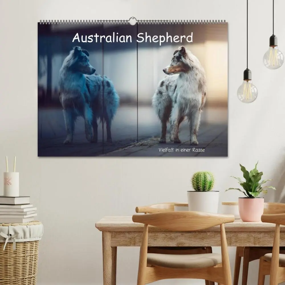 Bild: 9783457793442 | Australian Shepherd - Vielfalt in einer Rasse (Wandkalender 2026...