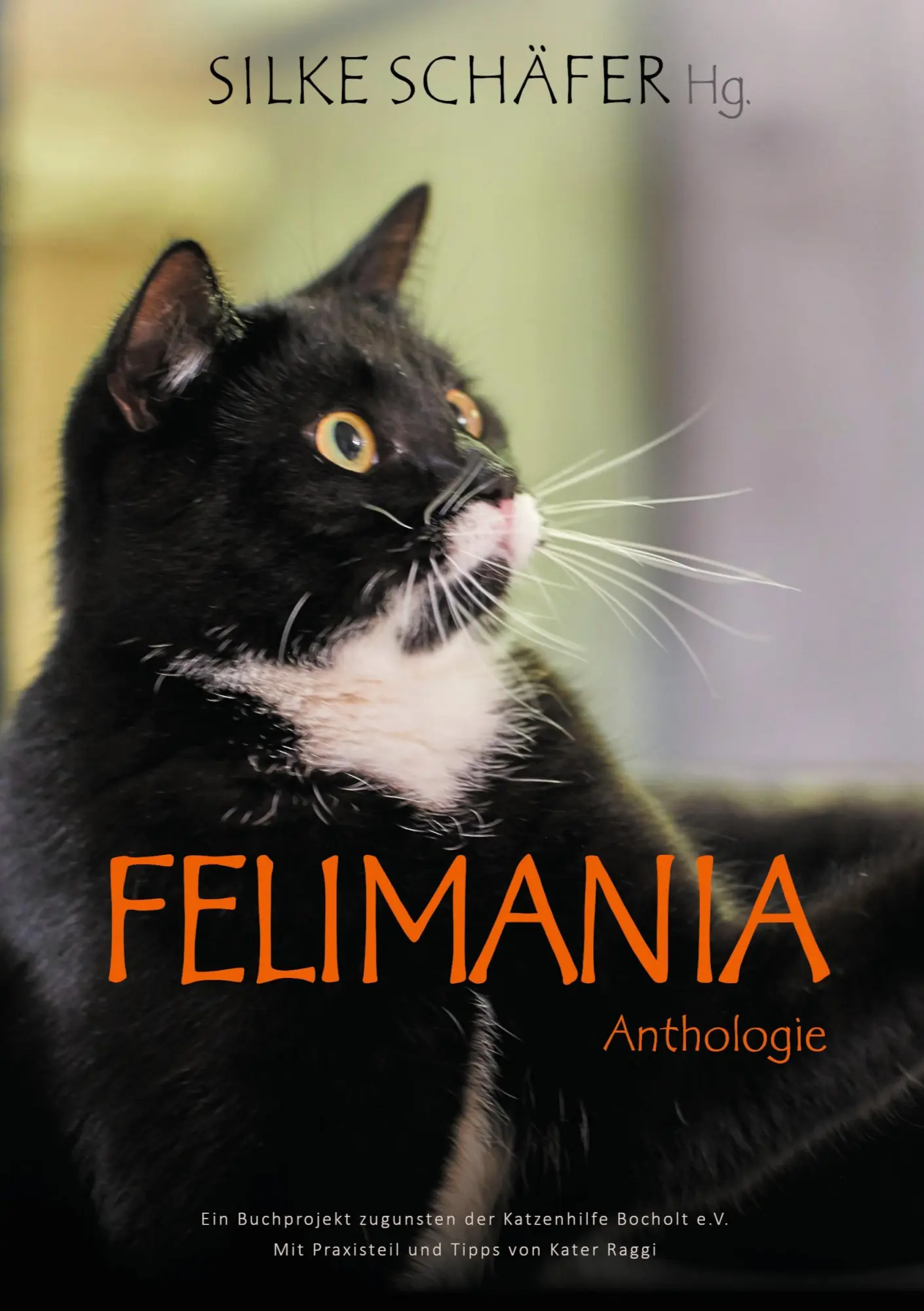 Cover: 9783752643442 | Felimania | Silke Schäfer | Taschenbuch | 224 S. | Deutsch | 2020