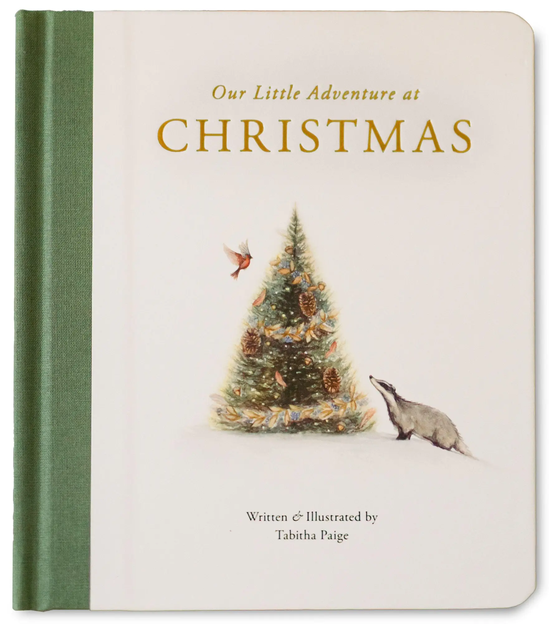 Cover: 9781963183542 | Our Little Adventure at Christmas | Tabitha Paige | Buch | Englisch