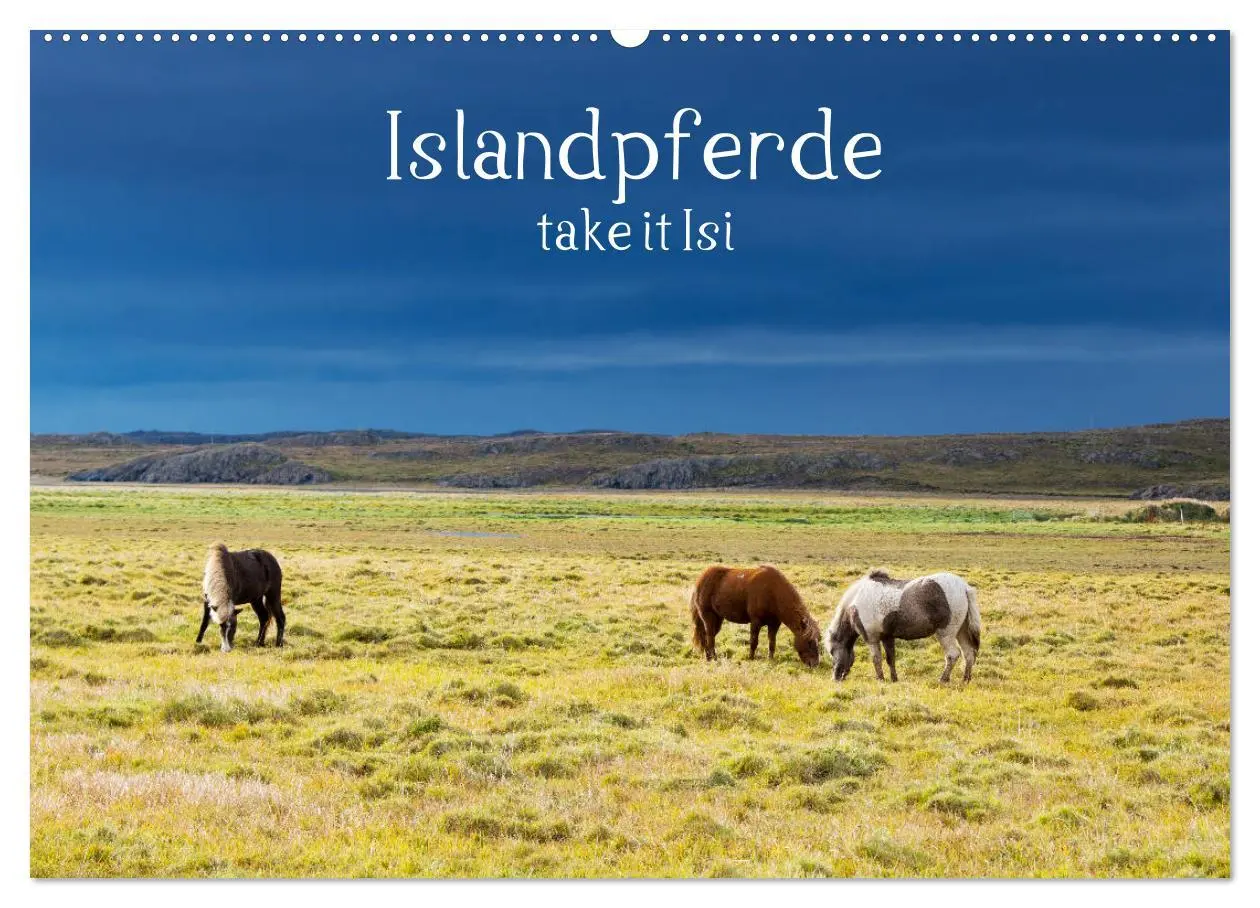 Cover: 9783457923542 | Islandpferde take it Isi (Wandkalender 2026 DIN A2 quer), CALVENDO...