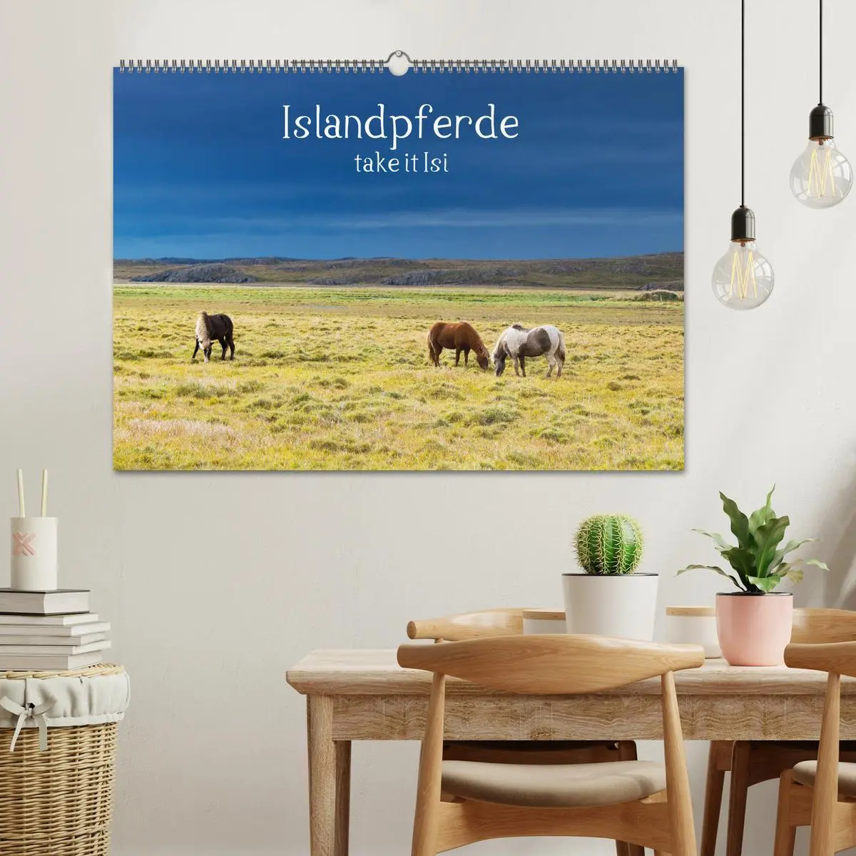Bild: 9783457923542 | Islandpferde take it Isi (Wandkalender 2026 DIN A2 quer), CALVENDO...