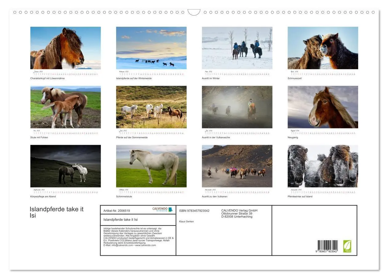 Bild: 9783457923542 | Islandpferde take it Isi (Wandkalender 2026 DIN A2 quer), CALVENDO...