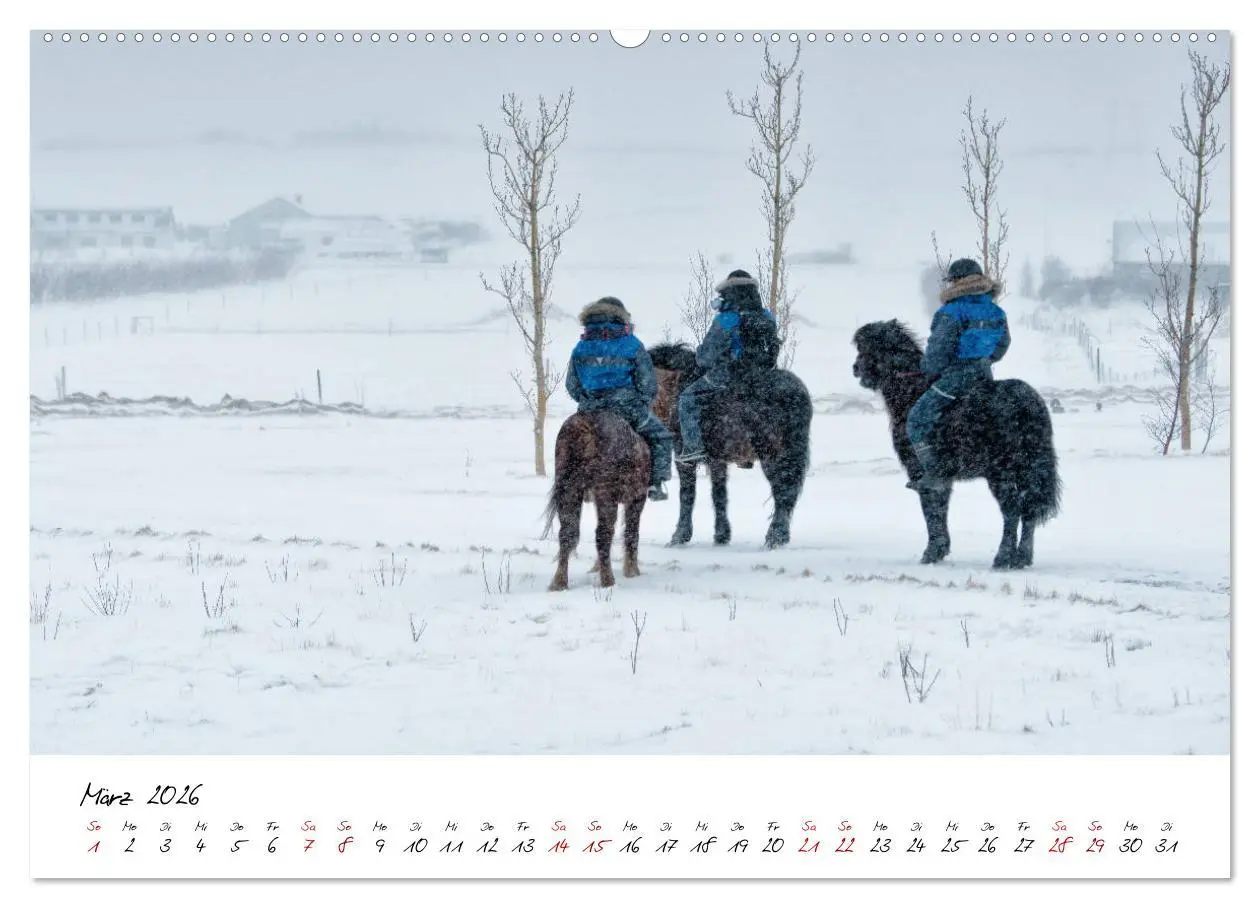 Bild: 9783457923542 | Islandpferde take it Isi (Wandkalender 2026 DIN A2 quer), CALVENDO...