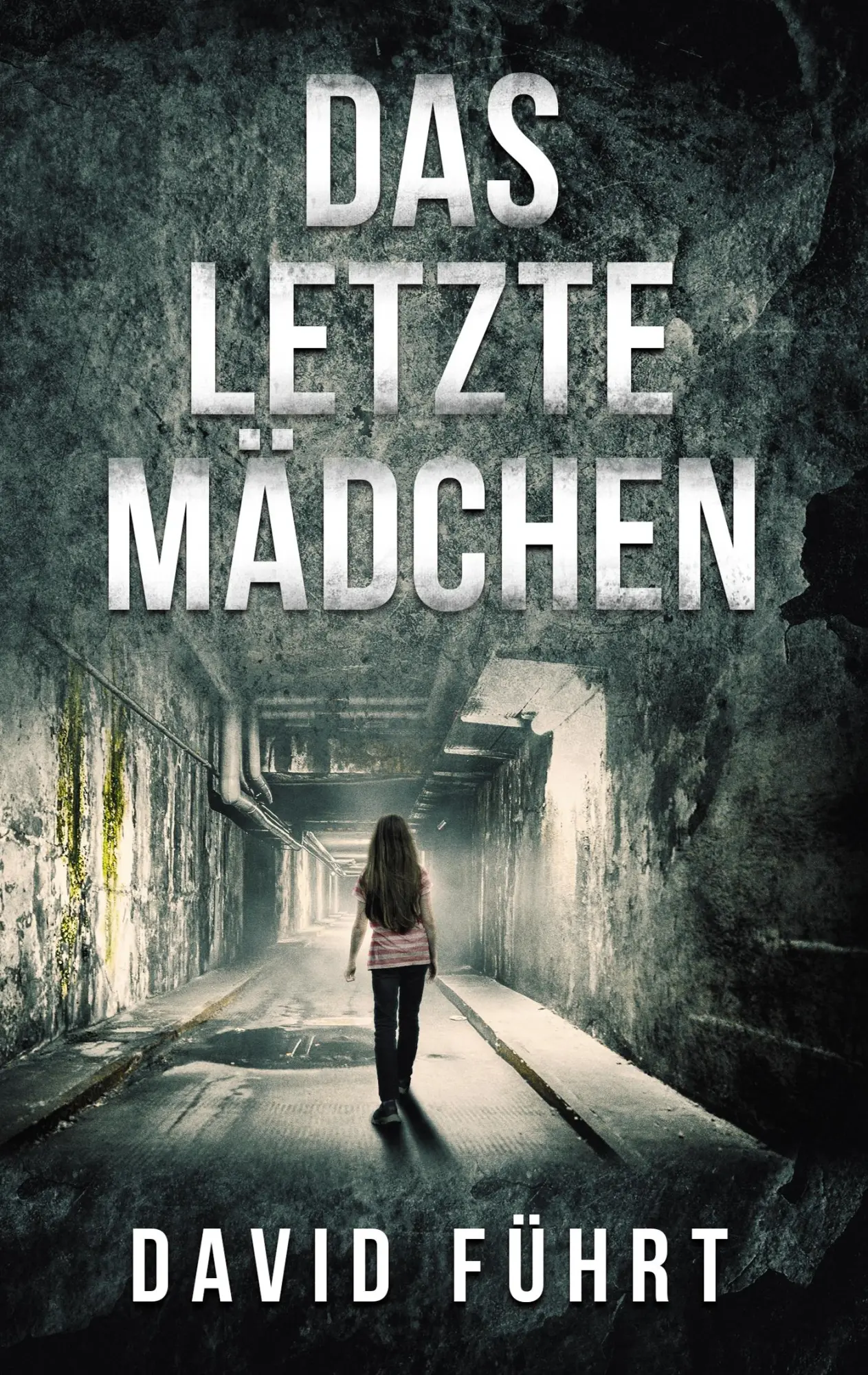 Cover: 9783740753542 | Das letzte Mädchen | Ein Fall für Niklas Schröder | David Führt | Buch