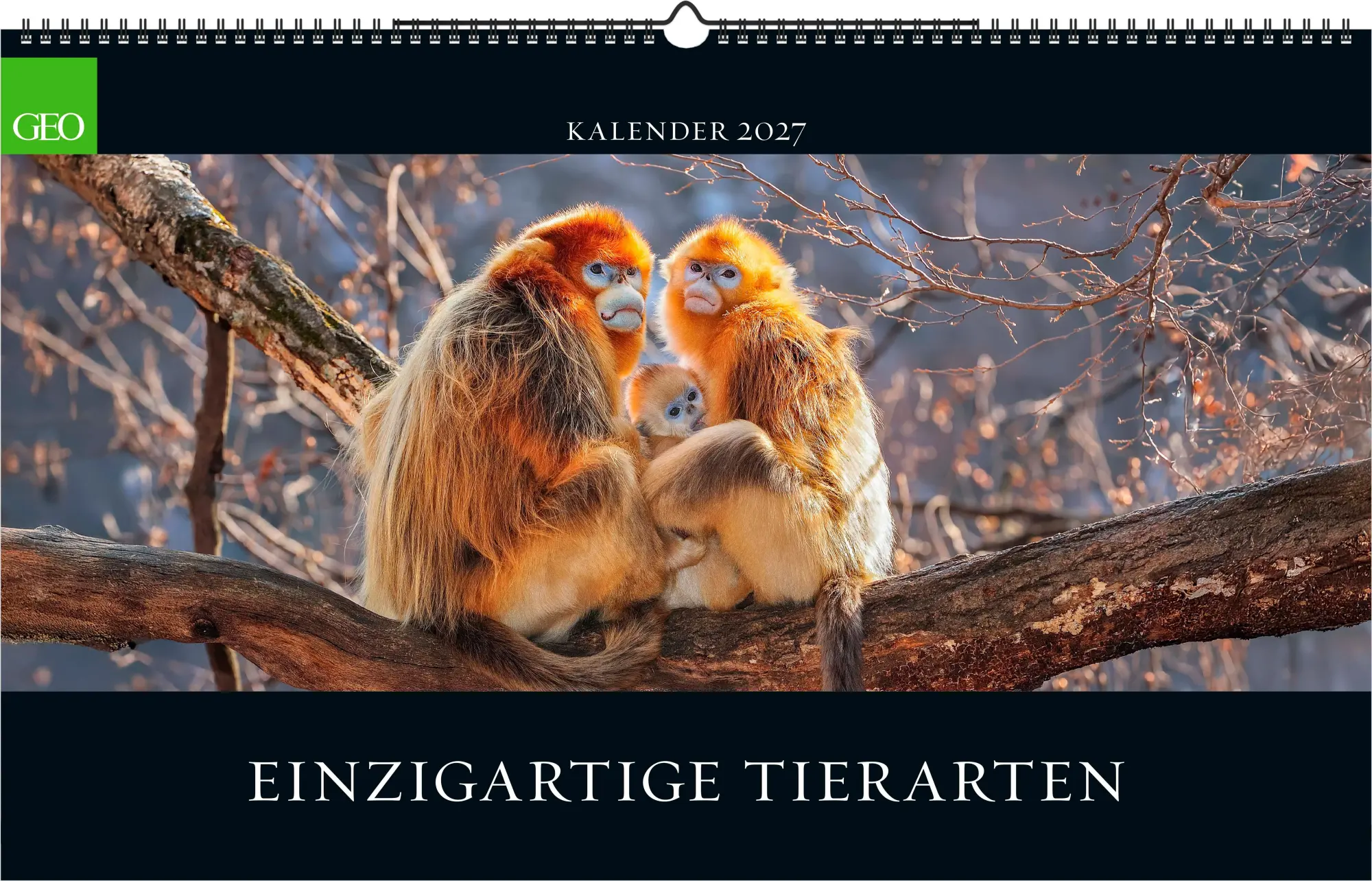 Cover: 4069095013742 | GEO Einzigartige Tierarten 2027 | Neumann Verlage GmbH &amp; Co KG | 14 S.