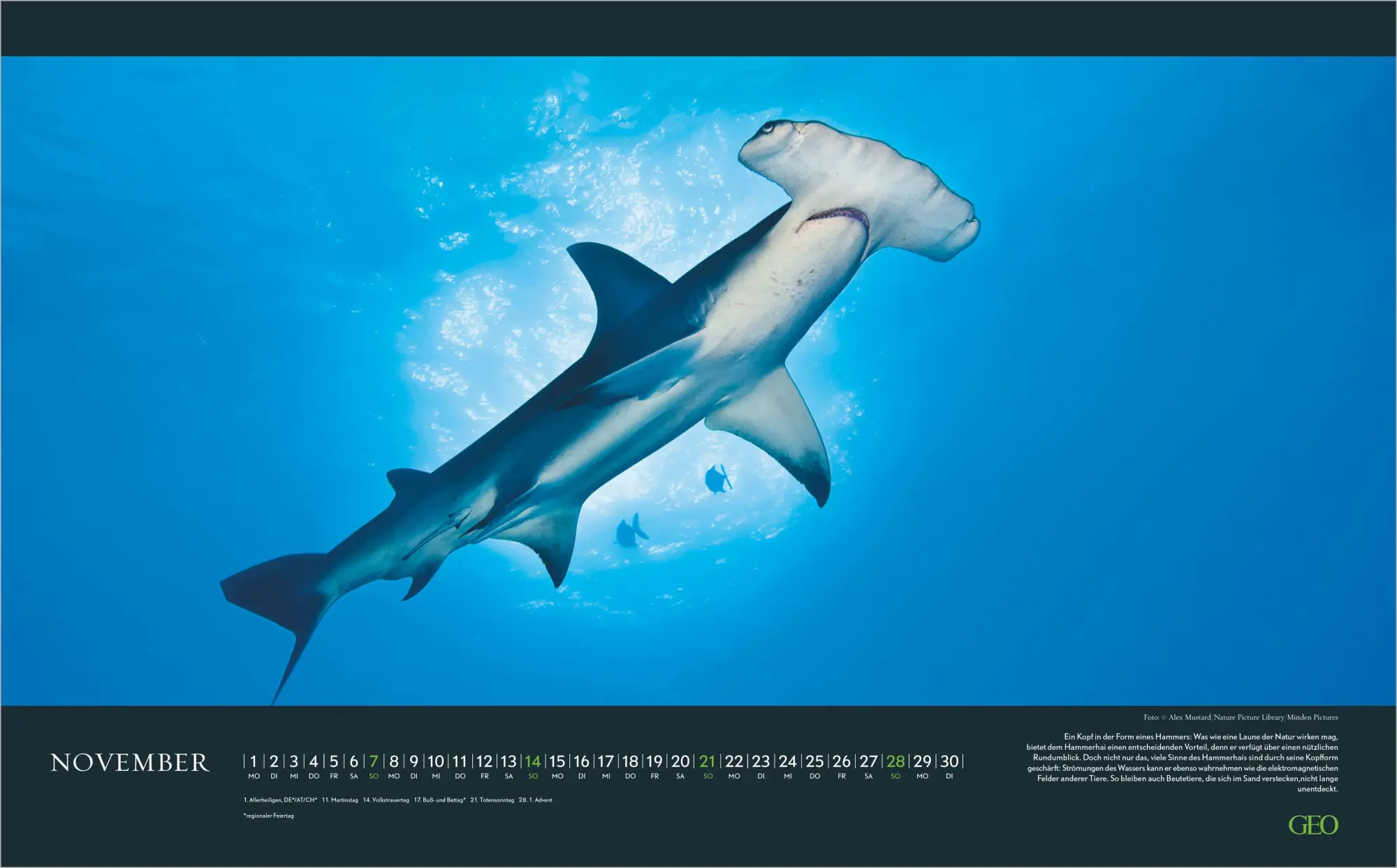 Bild: 4069095013742 | GEO Einzigartige Tierarten 2027 | Neumann Verlage GmbH &amp; Co KG | 14 S.