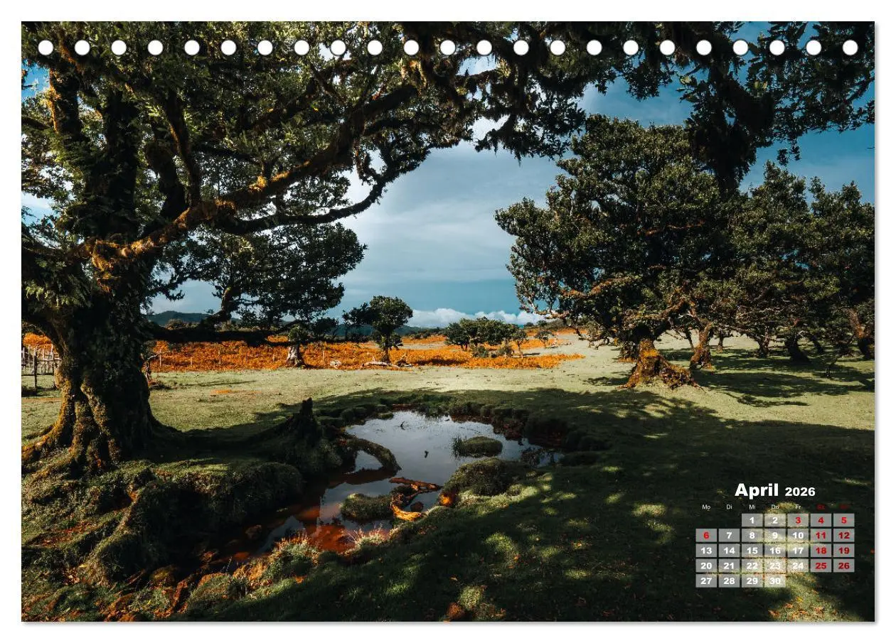 Bild: 9783457523742 | Trauminsel Madeira (Tischkalender 2026 DIN A5 quer), CALVENDO...
