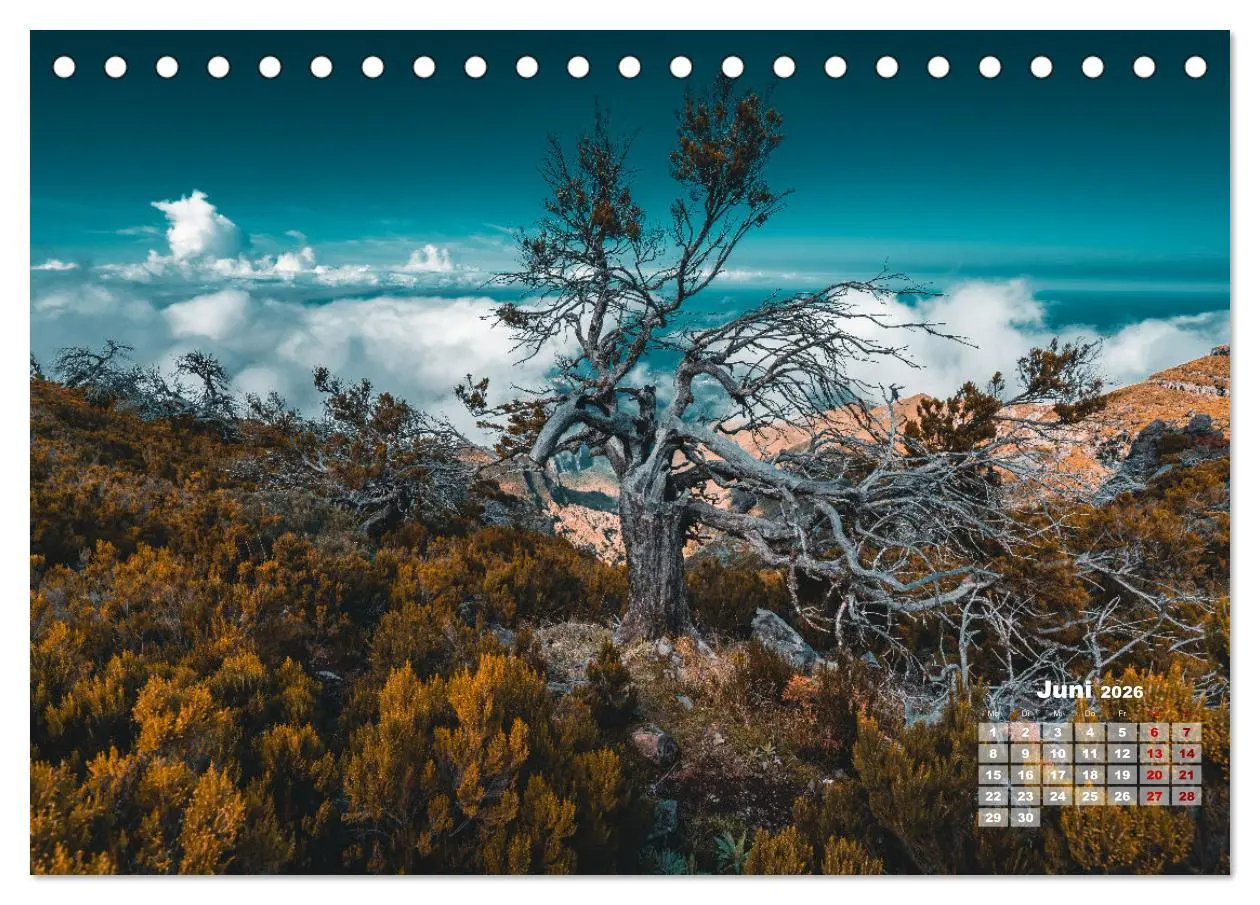 Bild: 9783457523742 | Trauminsel Madeira (Tischkalender 2026 DIN A5 quer), CALVENDO...