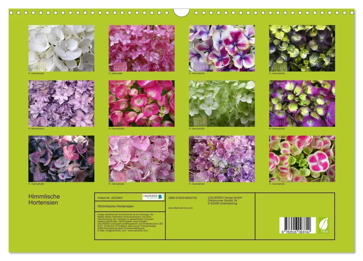 Bild: 9783516093742 | Himmlische Hortensien (Wandkalender 2026 DIN A3 quer), CALVENDO...