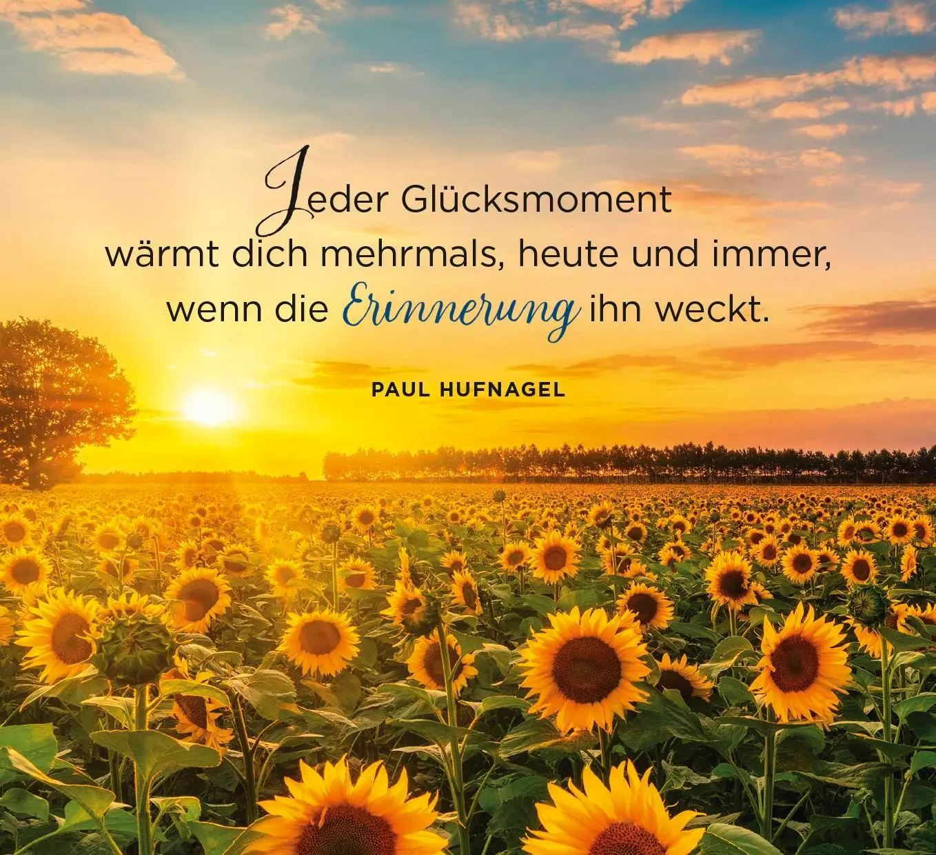 Bild: 9783848503742 | 100 liebe Wünsche von mir für dich | Groh Verlag | Taschenbuch | 2025