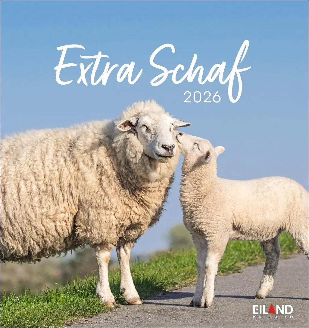 Cover: 9783964023742 | Extra Schaf Postkartenkalender 2026 | Eiland | Kalender | 13 S. | 2026