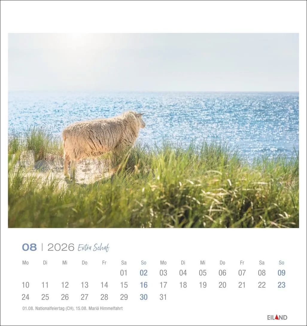 Bild: 9783964023742 | Extra Schaf Postkartenkalender 2026 | Eiland | Kalender | 13 S. | 2026