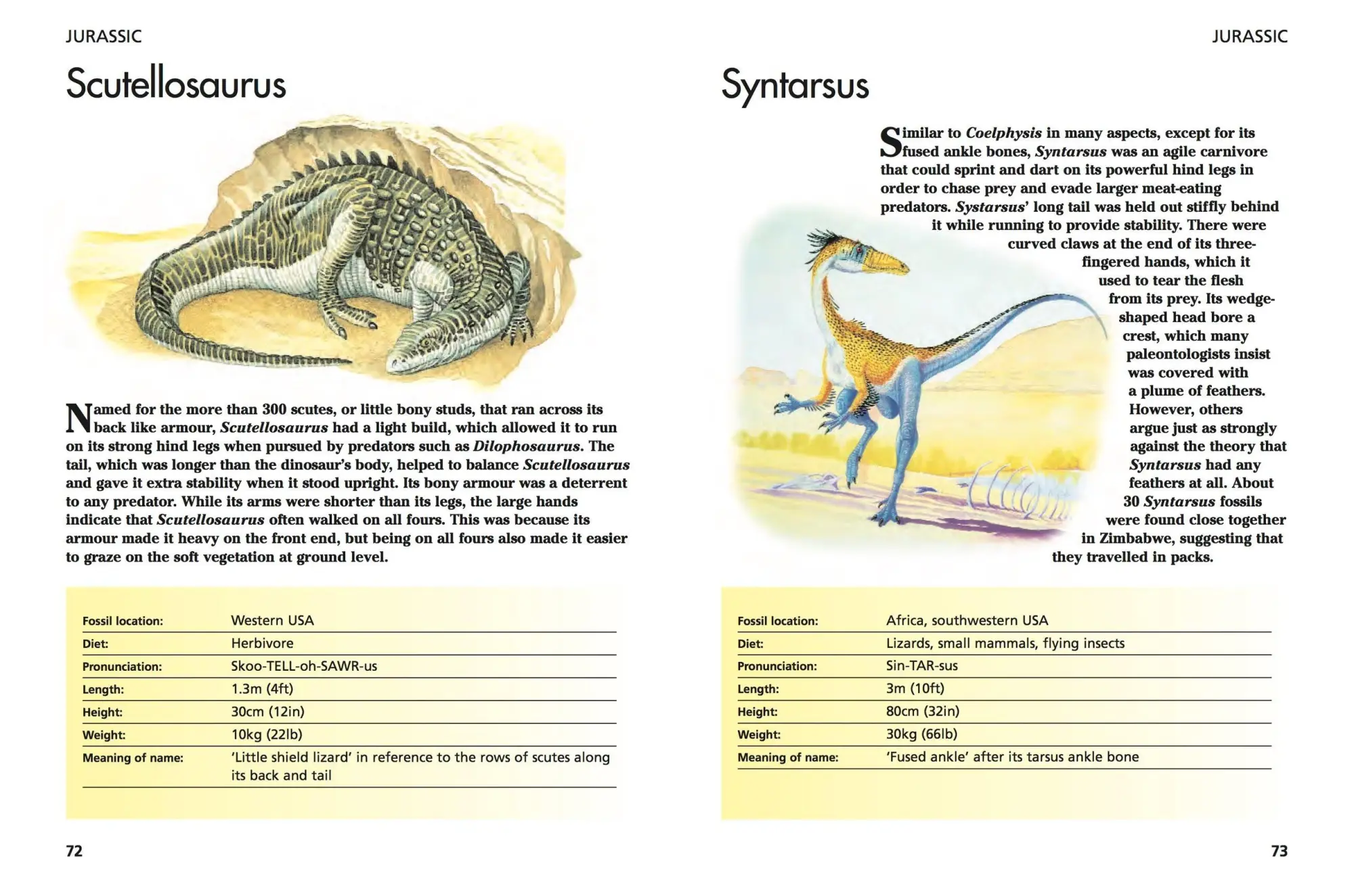 Bild: 9781782743842 | Dinosaurs | 300 Prehistoric Creatures | Gerrie McCall | Taschenbuch