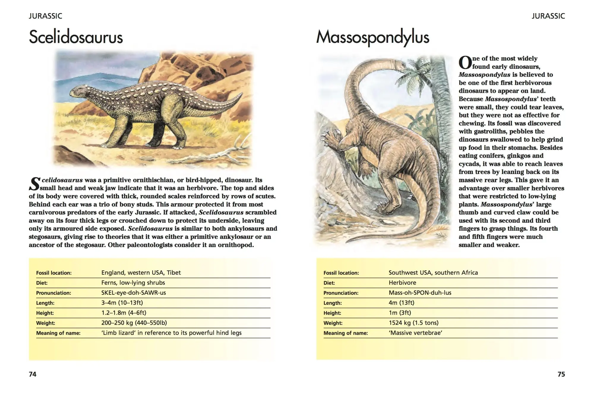 Bild: 9781782743842 | Dinosaurs | 300 Prehistoric Creatures | Gerrie McCall | Taschenbuch