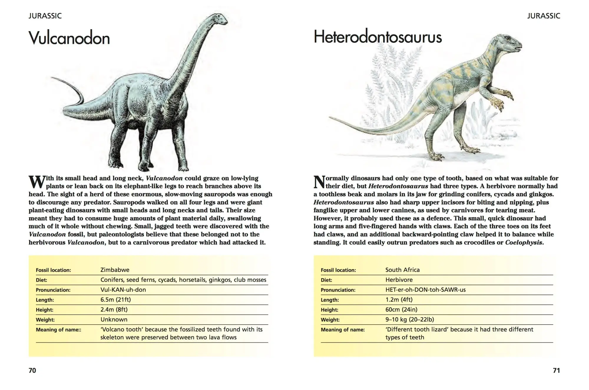 Bild: 9781782743842 | Dinosaurs | 300 Prehistoric Creatures | Gerrie McCall | Taschenbuch